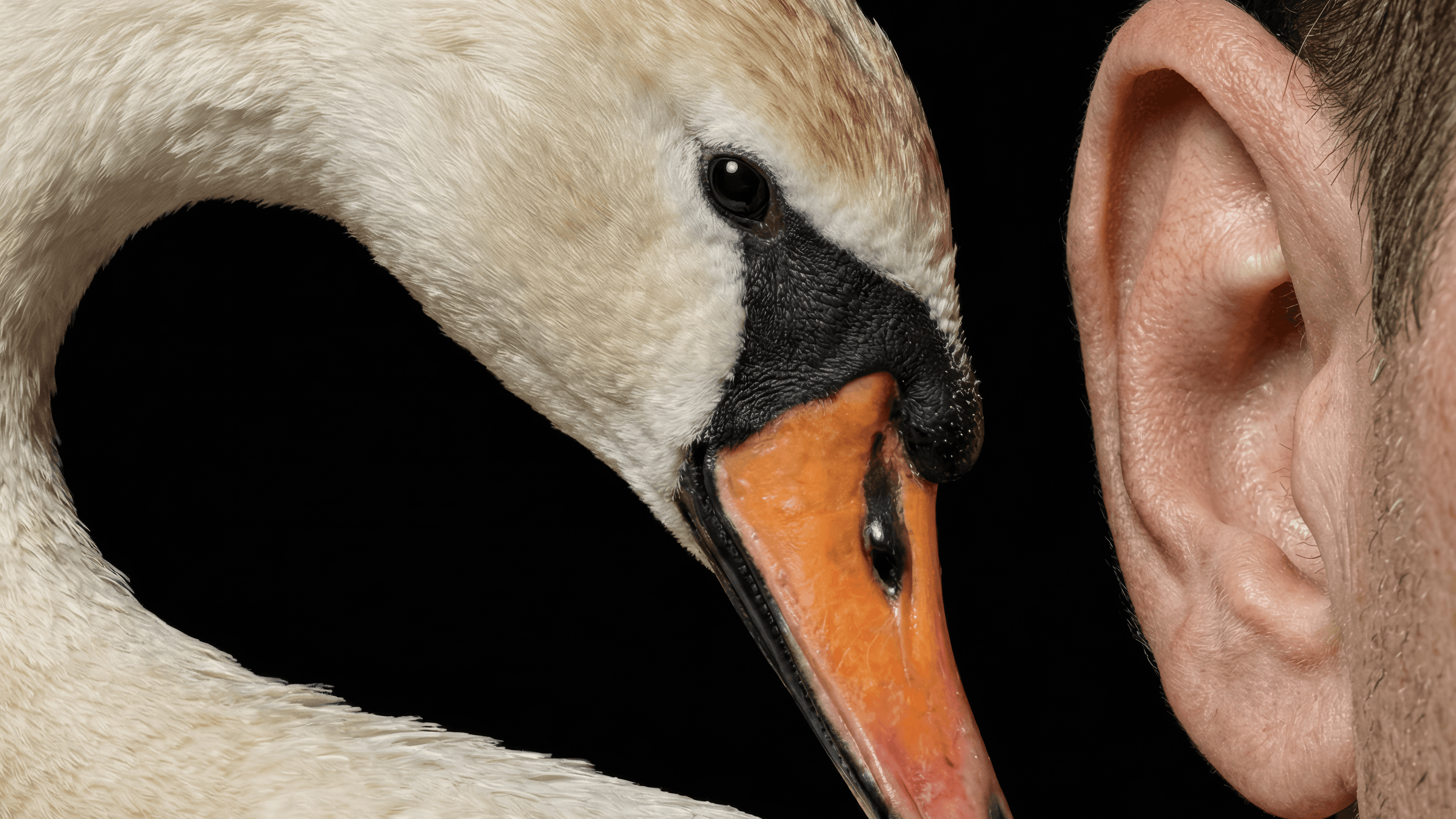 Production direction for BeamO health scans, featuring the infrared thermometer functionality