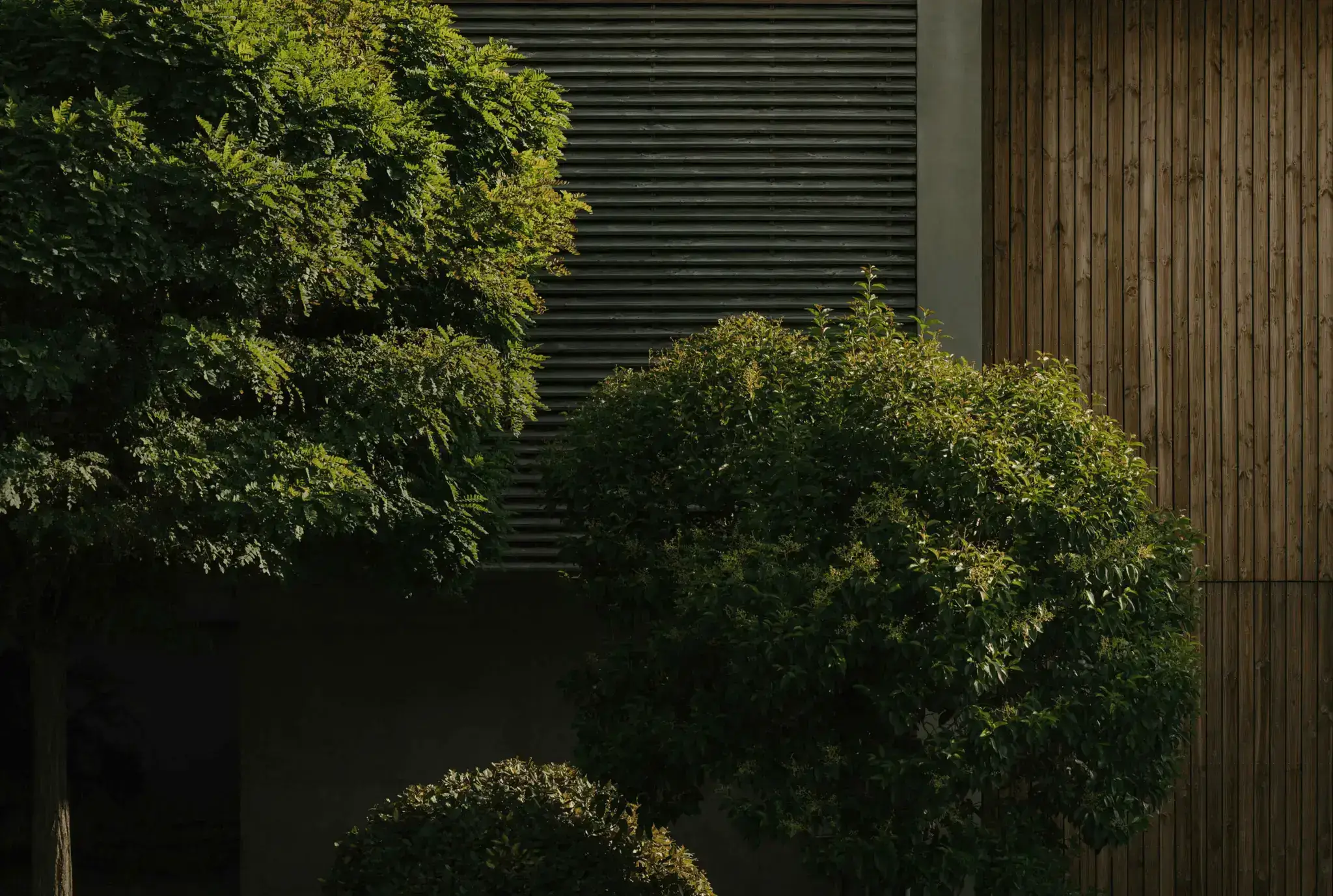 natural greenery with modern architectural design, suggesting an emphasis on sustainability or biophilic design. The lighting is warm and subdued, likely captured in the late afternoon or early morning