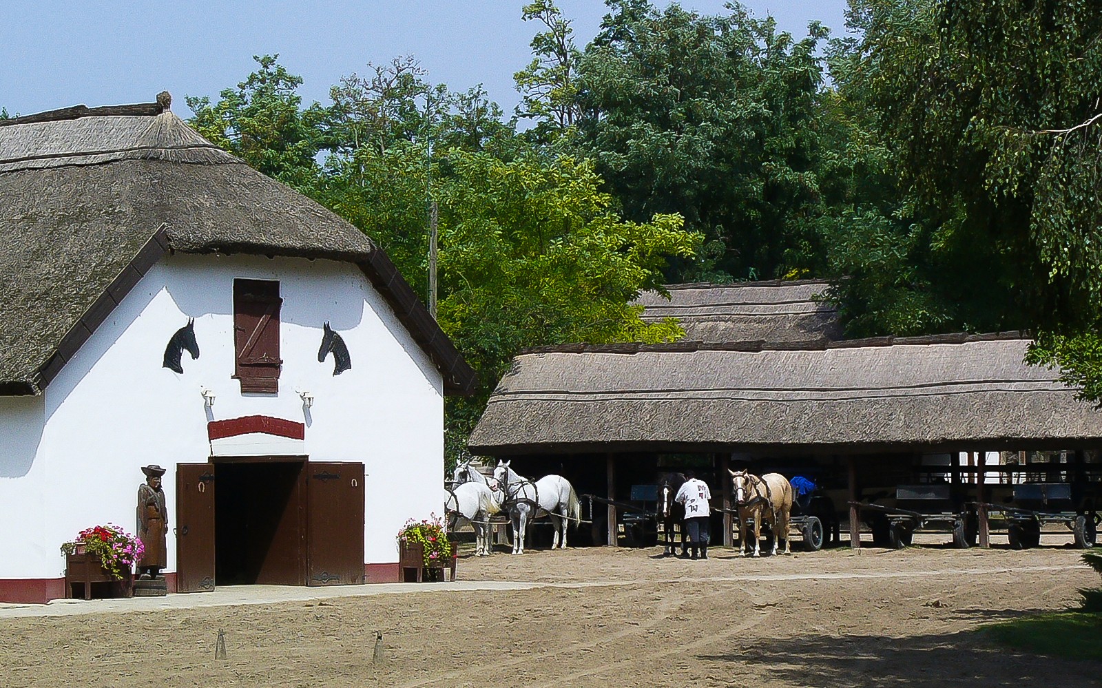 Thatched-roof stables with horses in Kecskemet, Hungary, part of Puszta day trip from Budapest.