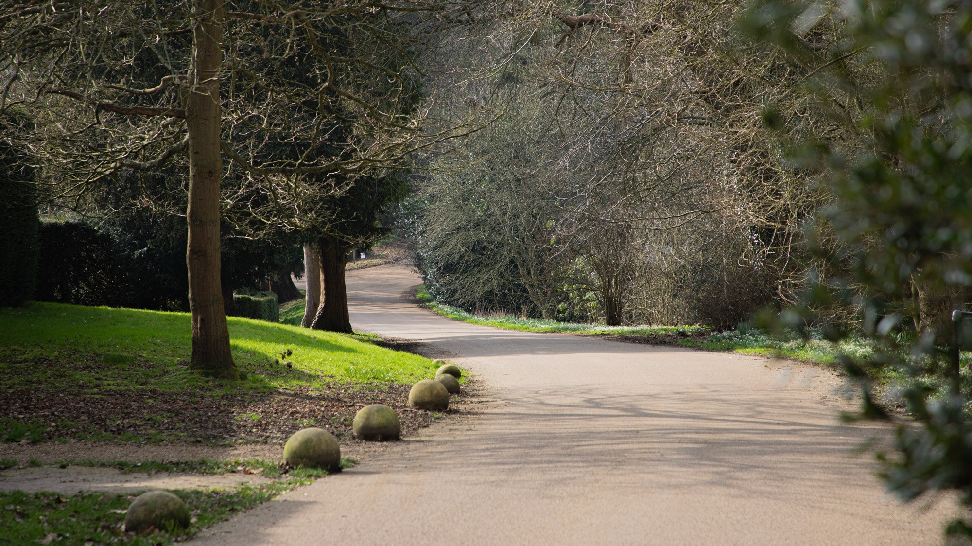Two classic volkswagen beetles, one green, one cream.