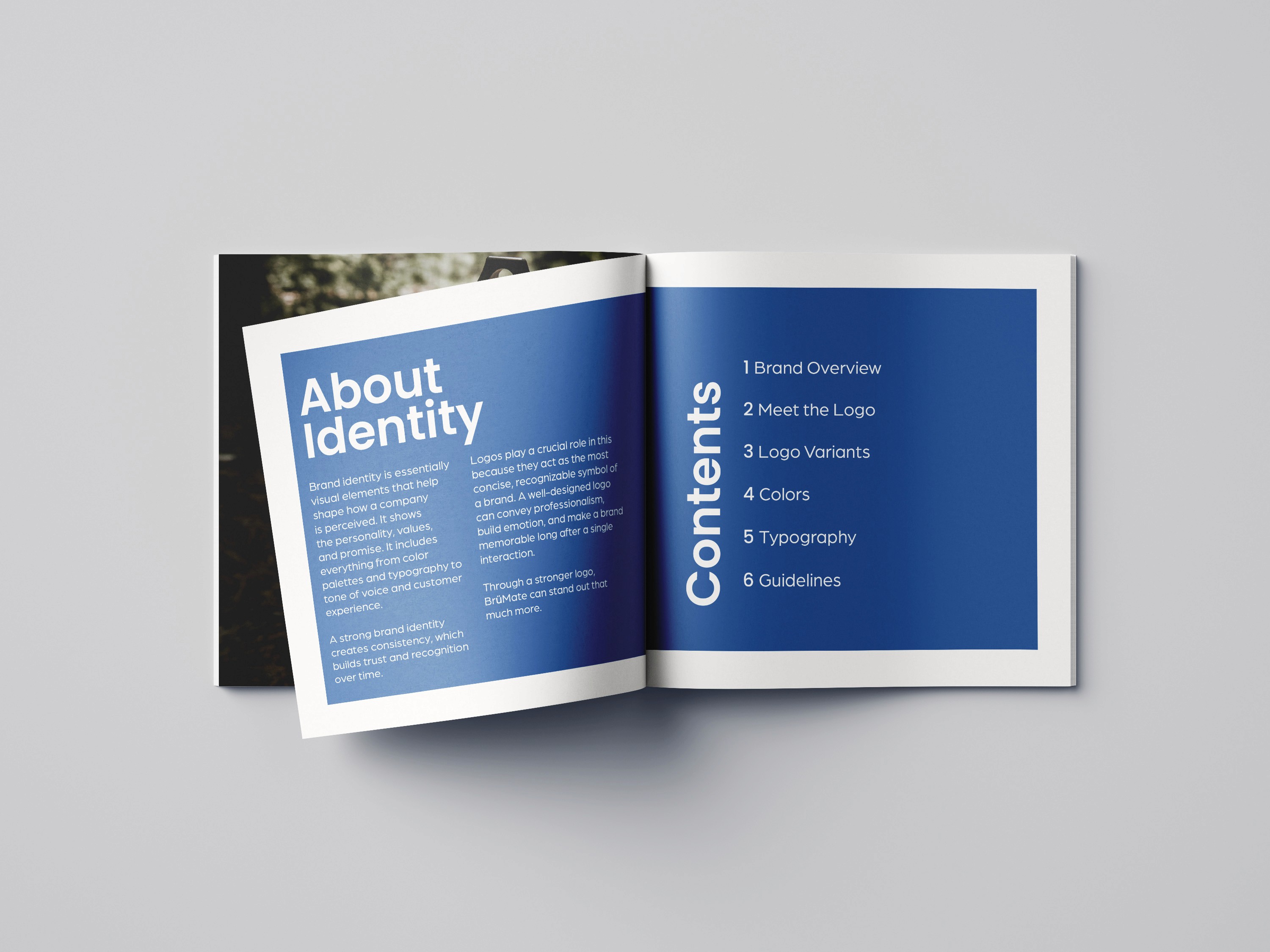 Open brochure mockup displaying a blue brand identity spread, with an “About Identity” section on the left page and a contents list on the right page.