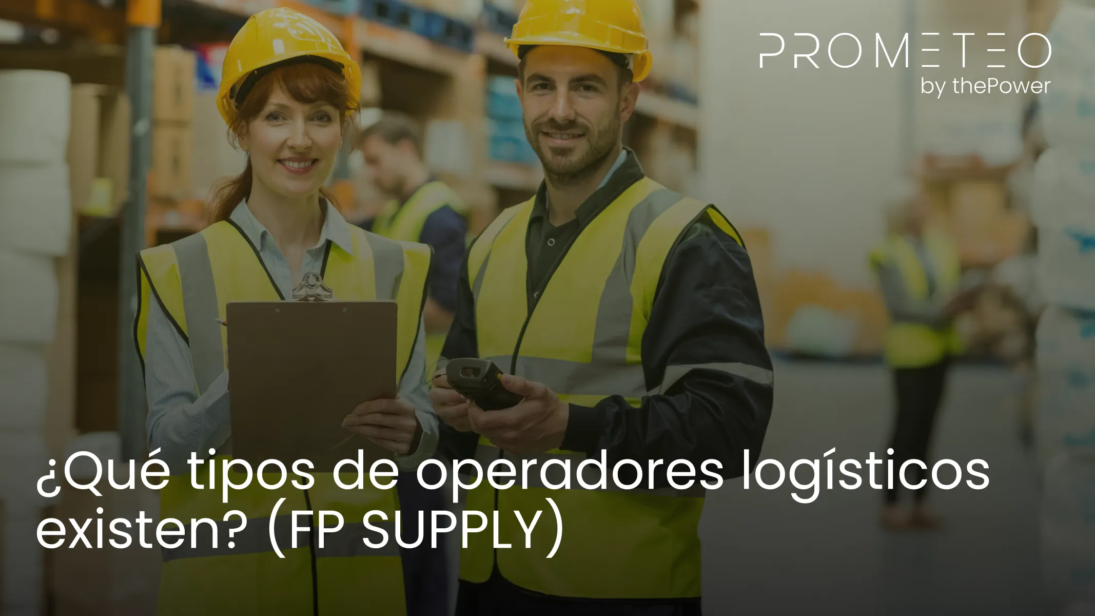 ¿Qué tipos de operadores logísticos existen?