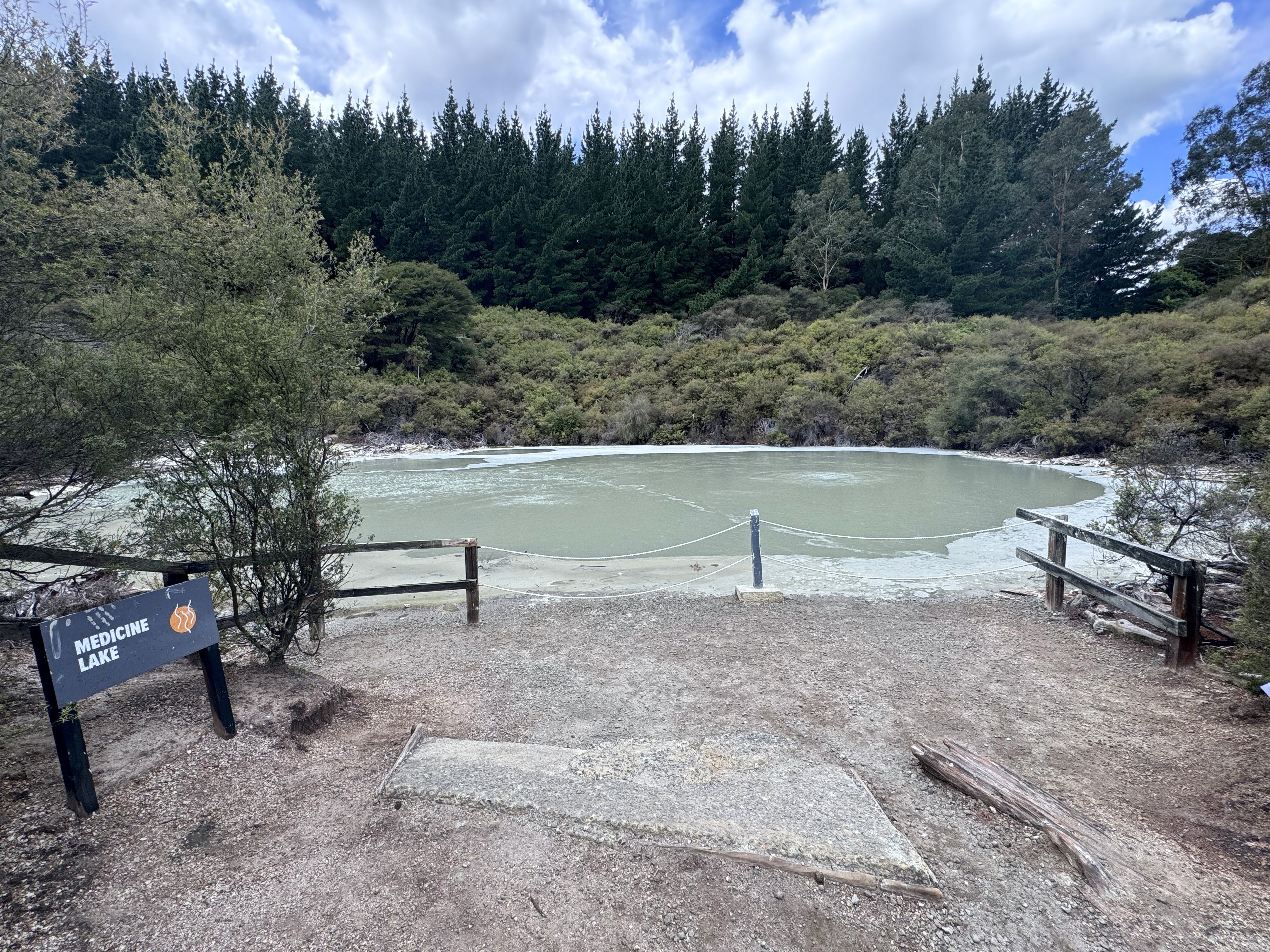 Medicine Pool at Hell's Gate, Rotorua