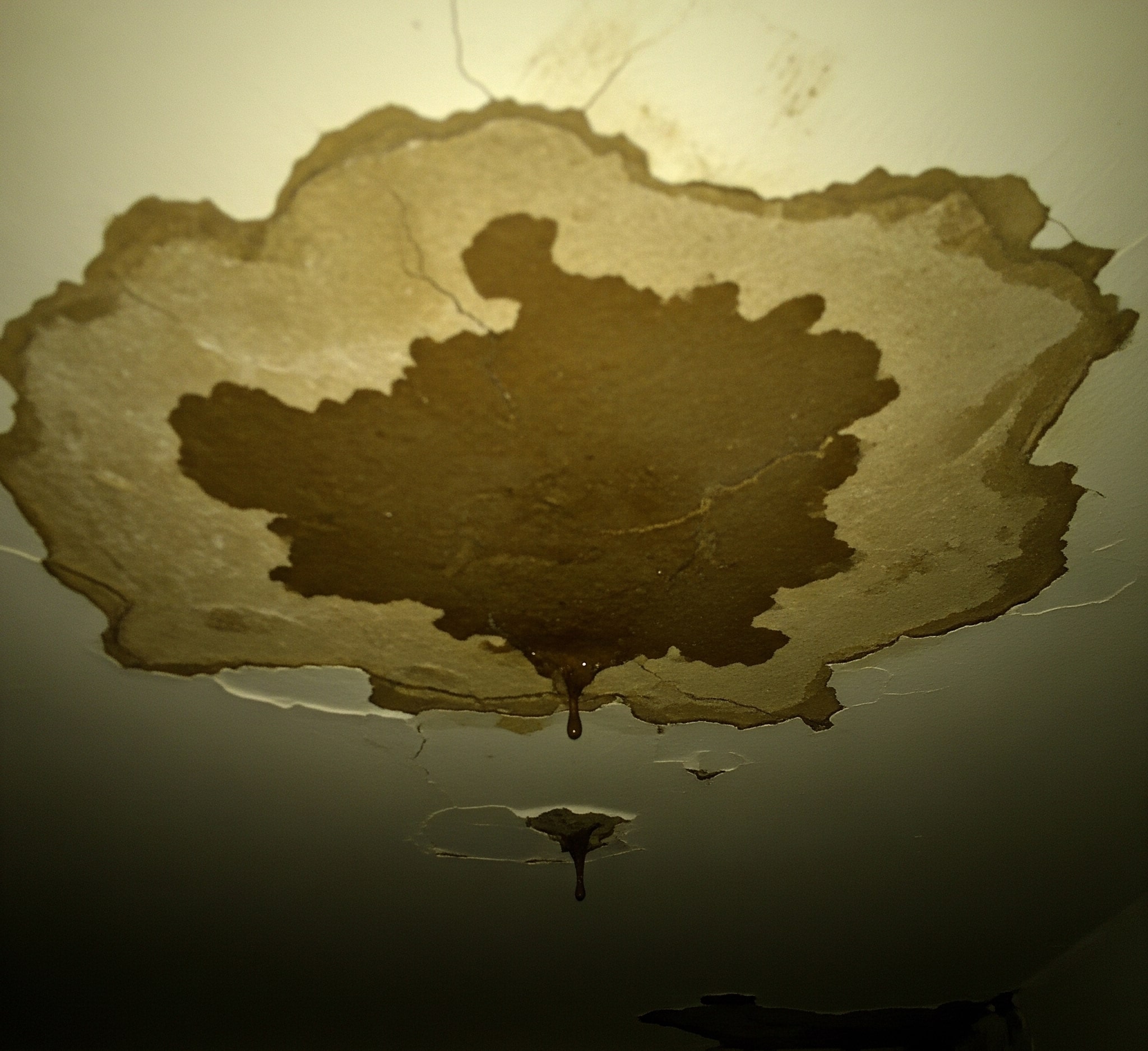 Homeowner photo showing animal damage — Gaston