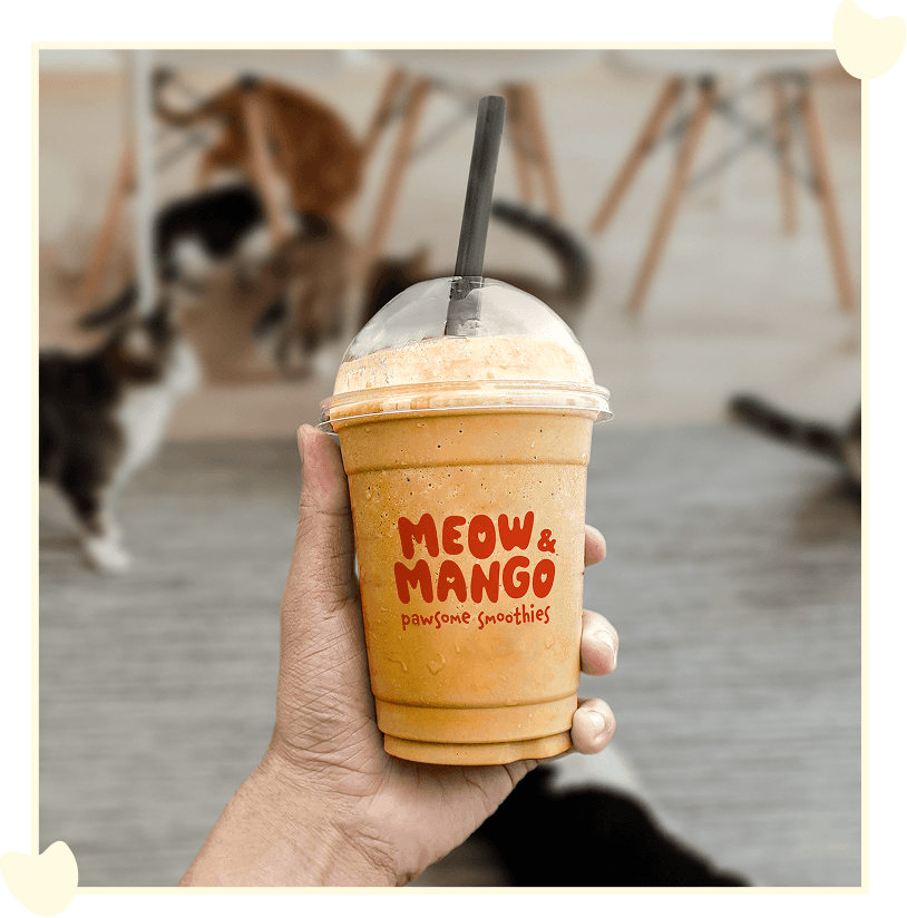 Meow and Mango Packaging Design