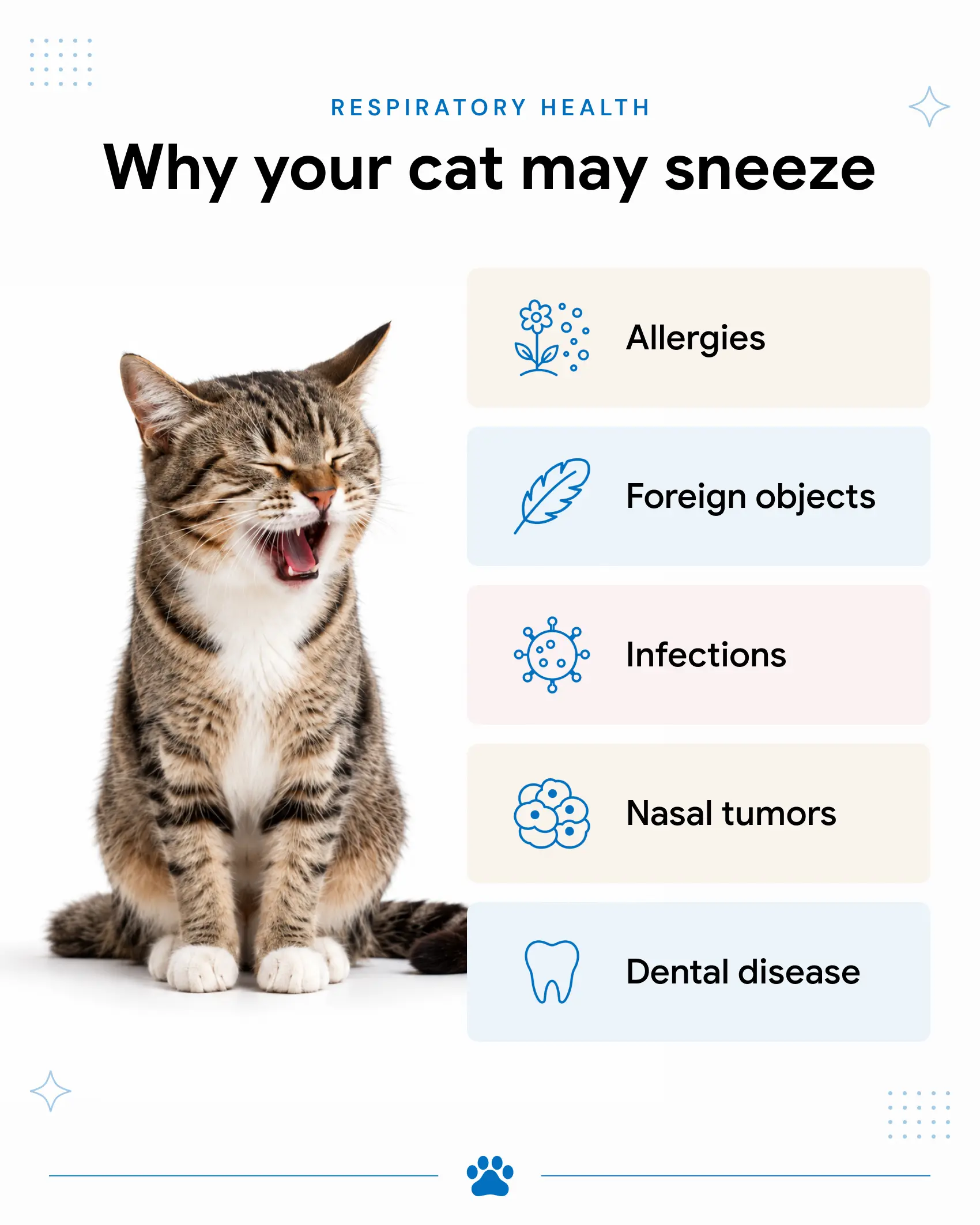 An infographic showing the reasons why your cat may sneeze.