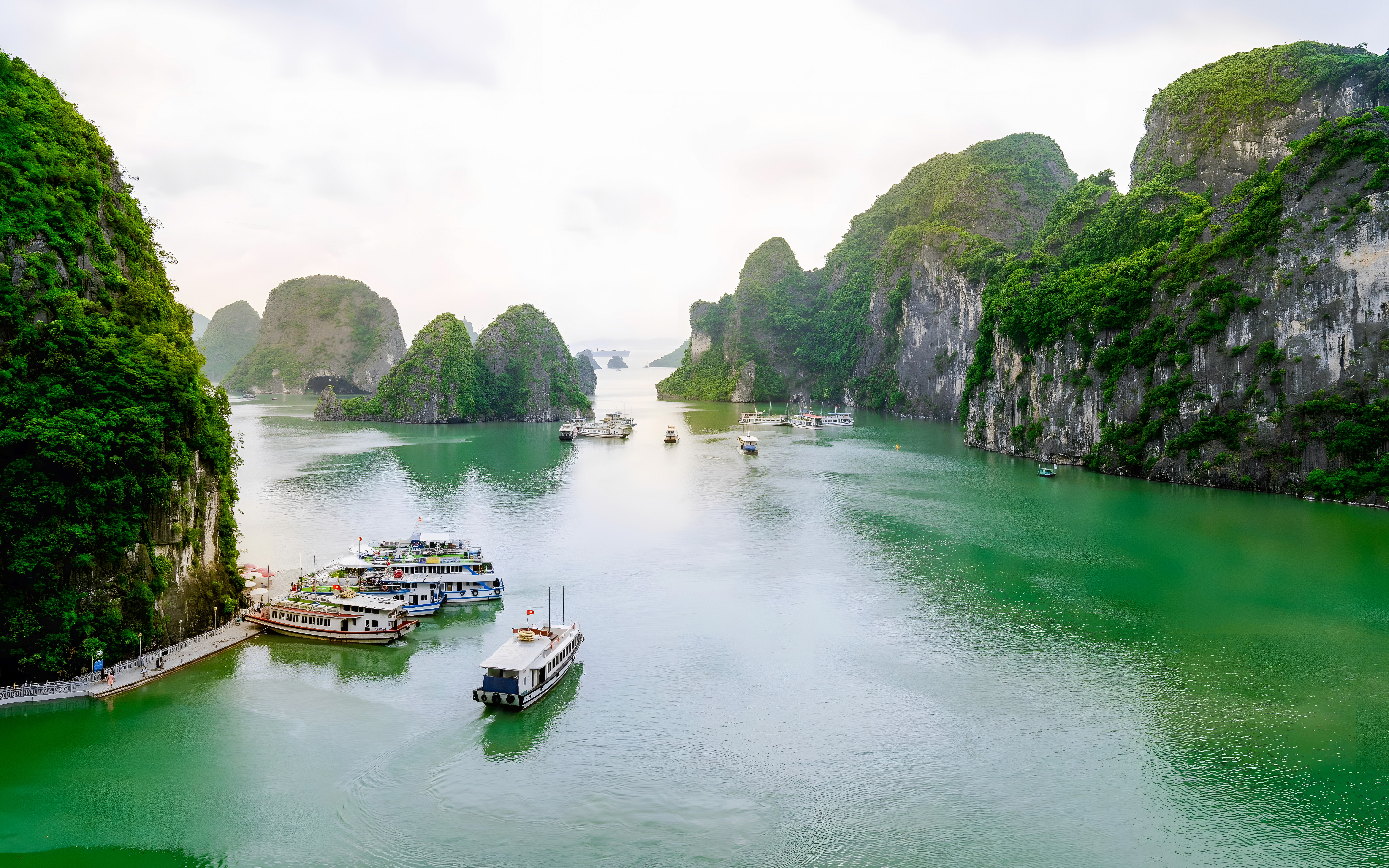 越南下龙湾的石灰岩岩溶从翠绿色的水中升起。
