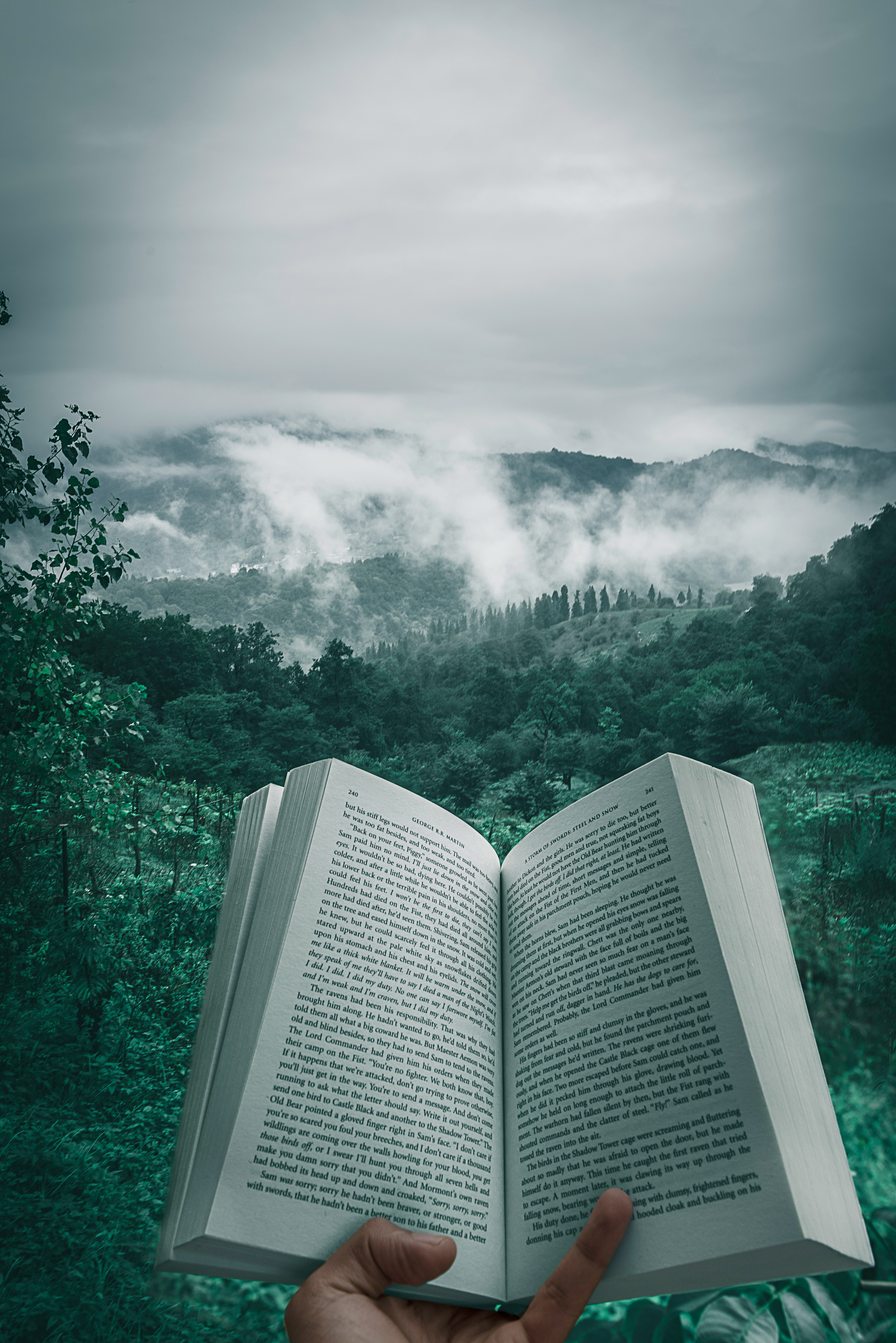 Hand holding a book, overlooking a forest across a mountainous landscape