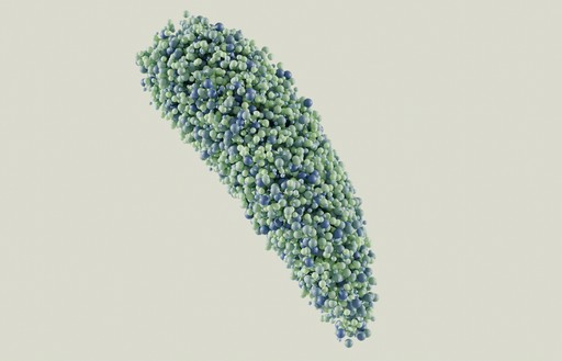 A detailed 3D rendering of a virus particle