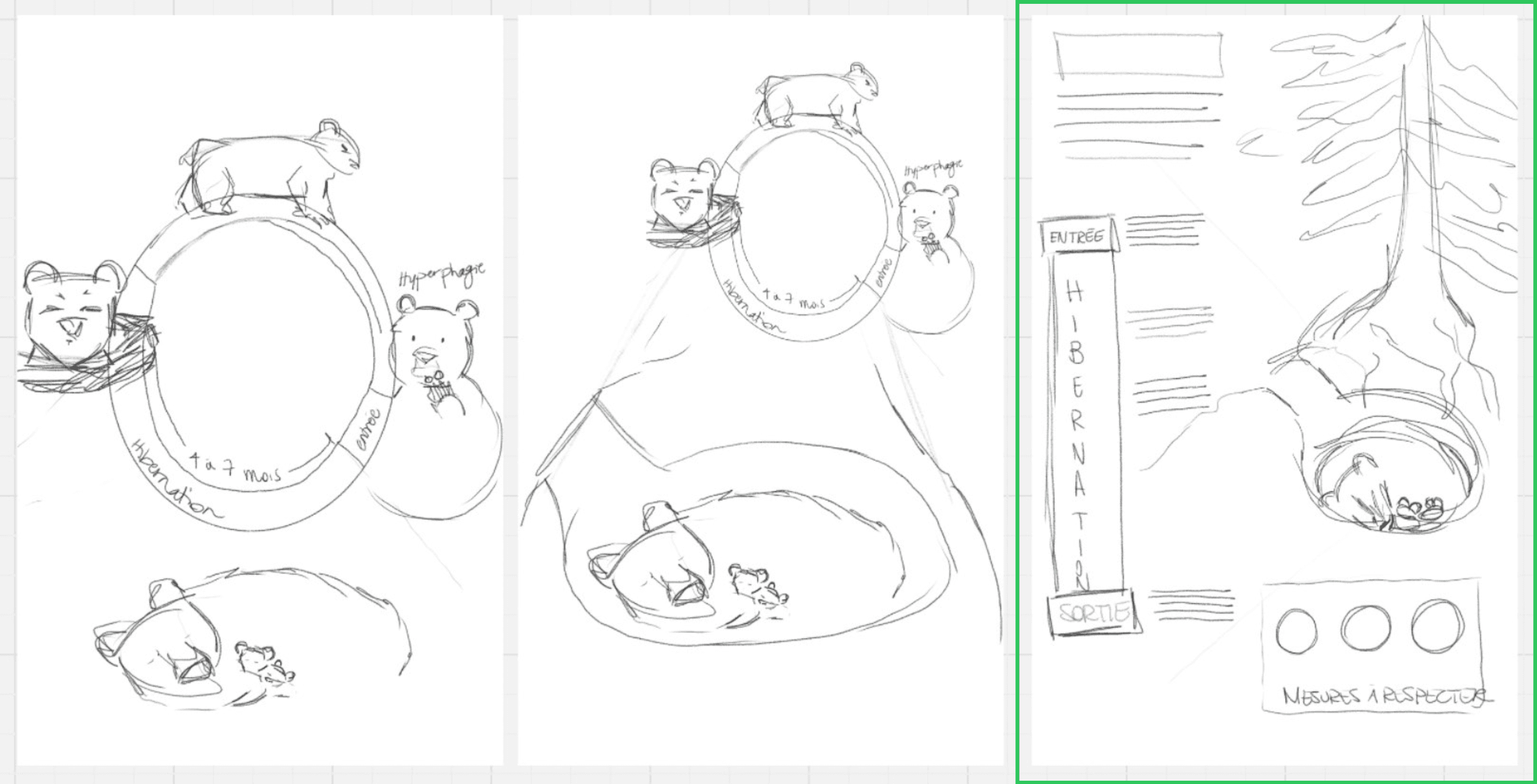 Image des esquisses préliminaires du projet d'hibernation des grizzlys par Élodie Ouellet-Belleau