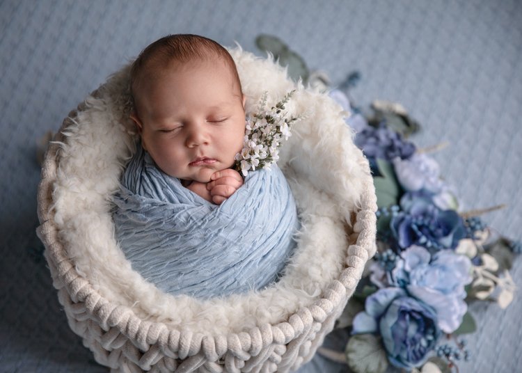 Masha Eckles Newborn Photography Portfolio