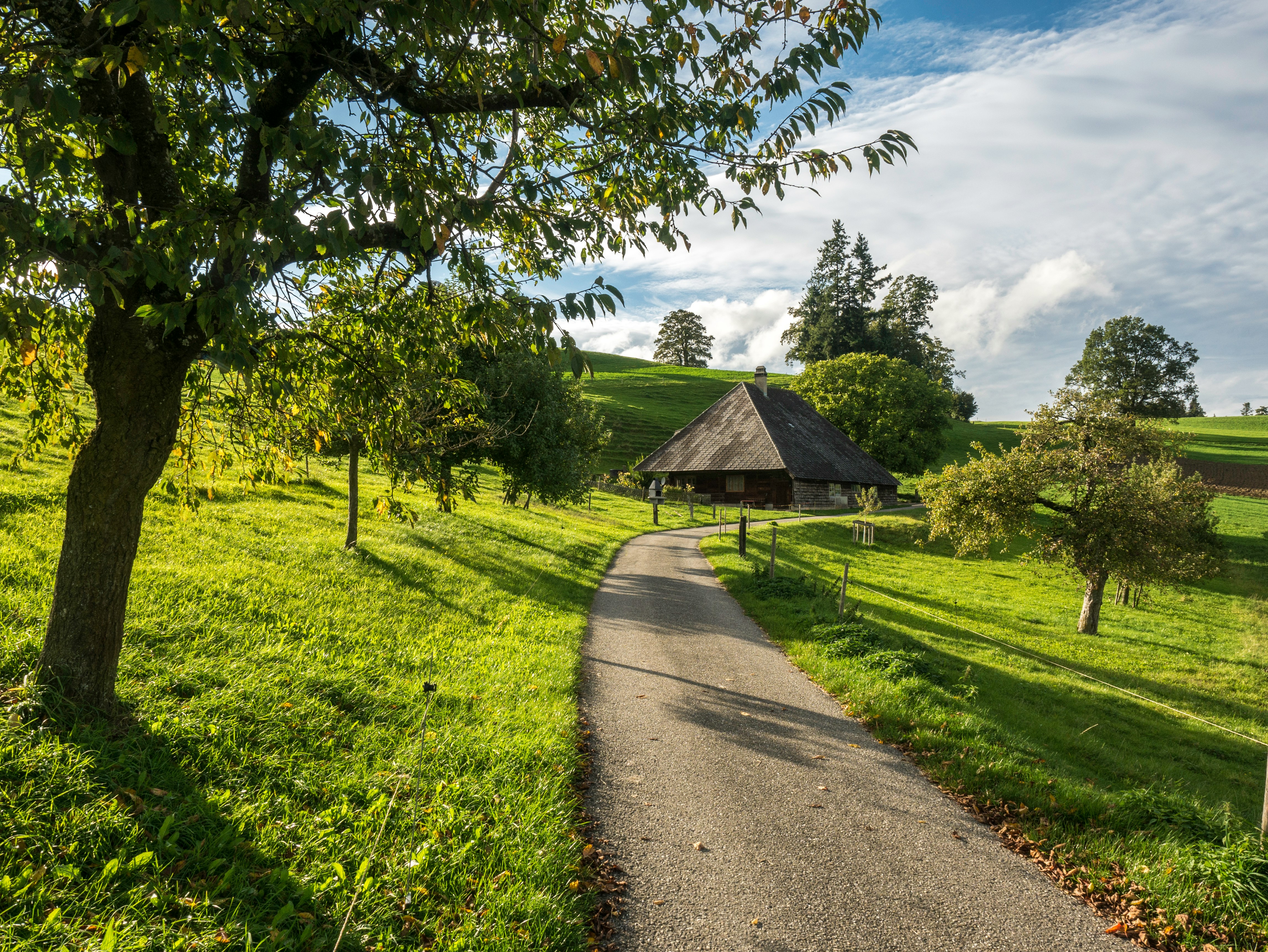 brown wooden house on green grass field under blue sky and white clouds during daytime