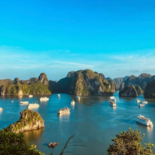 Ha Long-bugten: Heldags guidet krydstogt fra Hanoi med Ti Top-øen + frokostbilletter i Hanoi