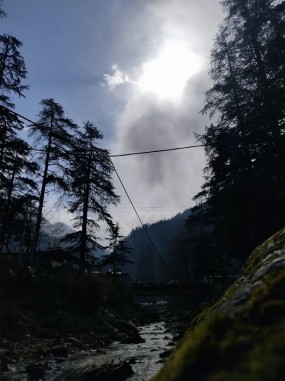 Blue Image