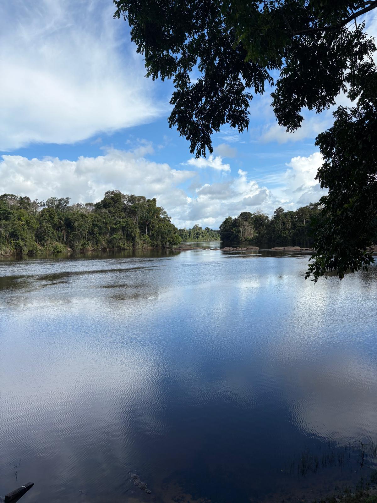 Rivier in de Amazone