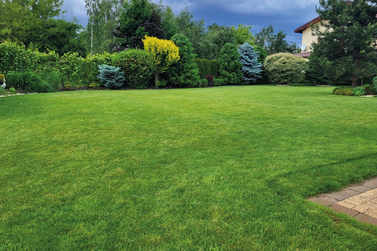 Projektowanie, zakładanie i pielęgnacja ogrodów Warszawa i okolice