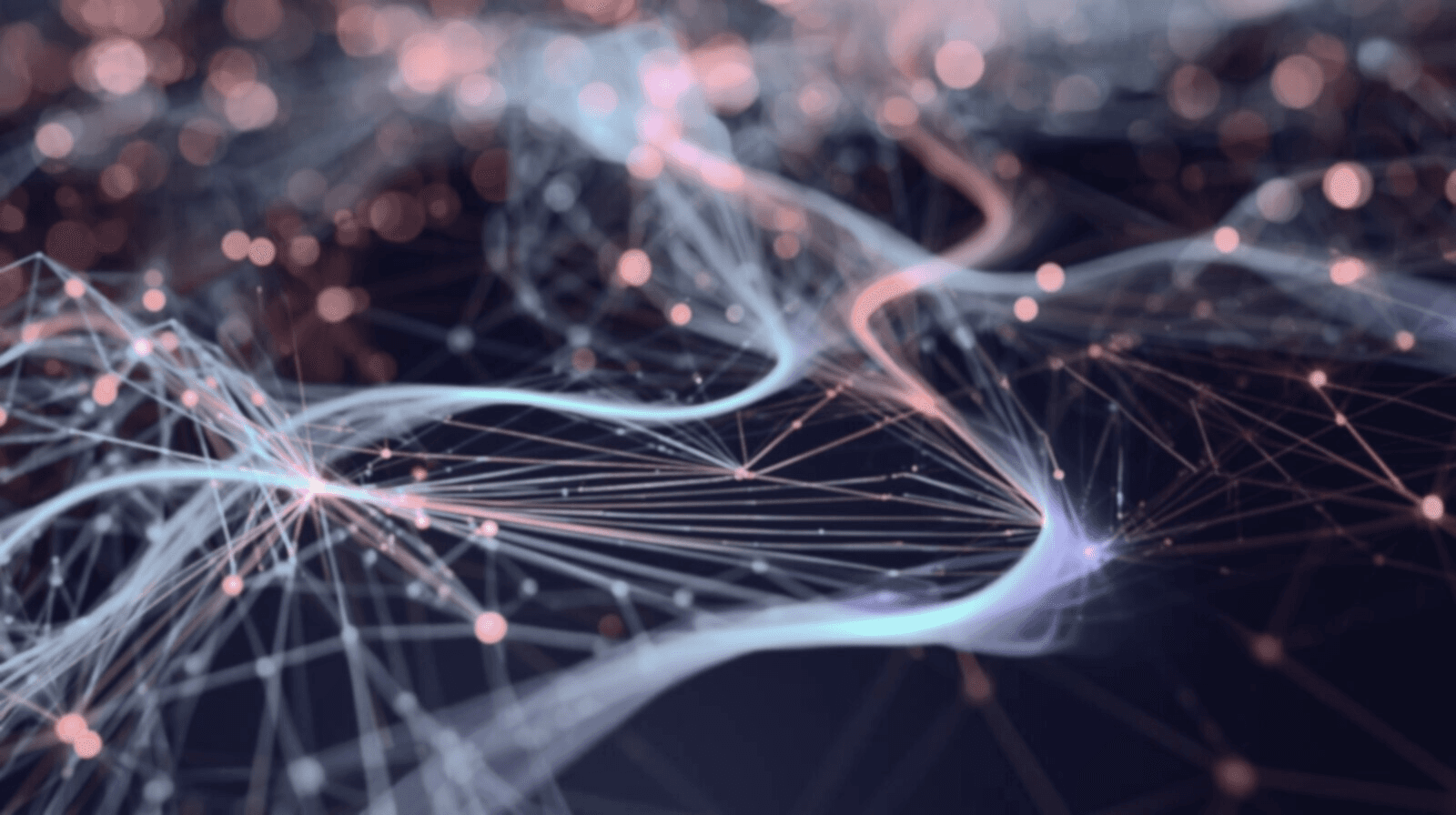 The image featured in the middle of the about us page