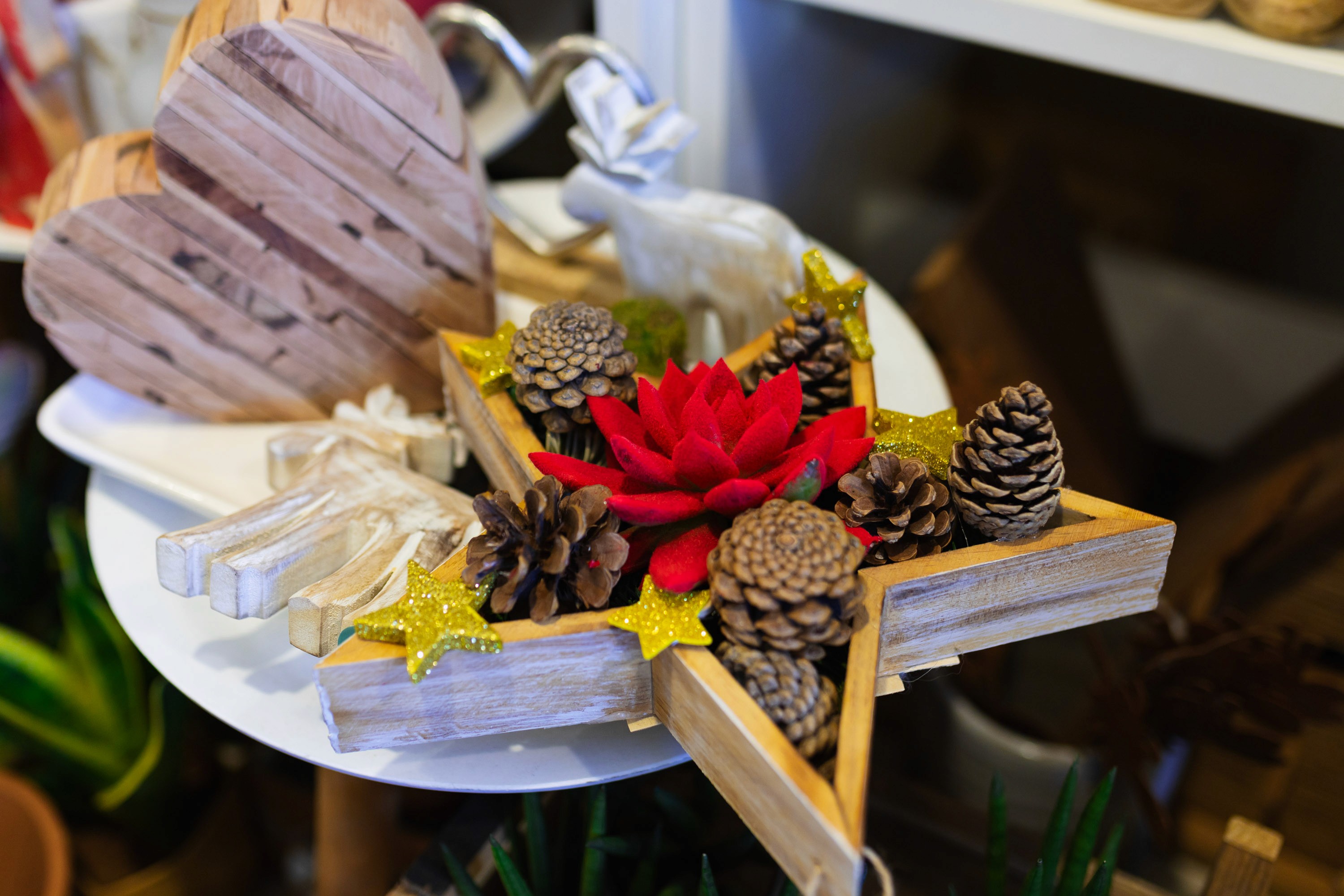 Beautiful composition