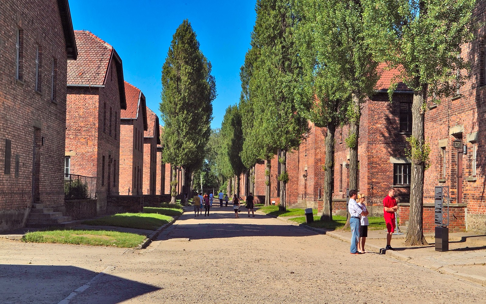 Barakkur við trjáklæddan stíg í Auschwitz Birkenau, þar sem gestir kanna svæðið.