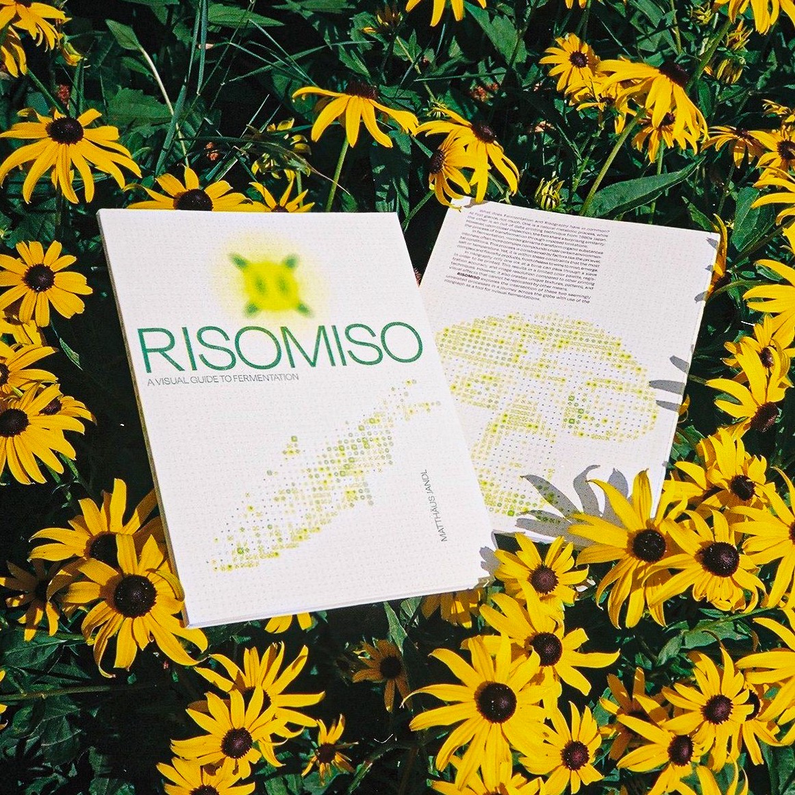 RISOMISO, risographic publication, Matthäus Jandl