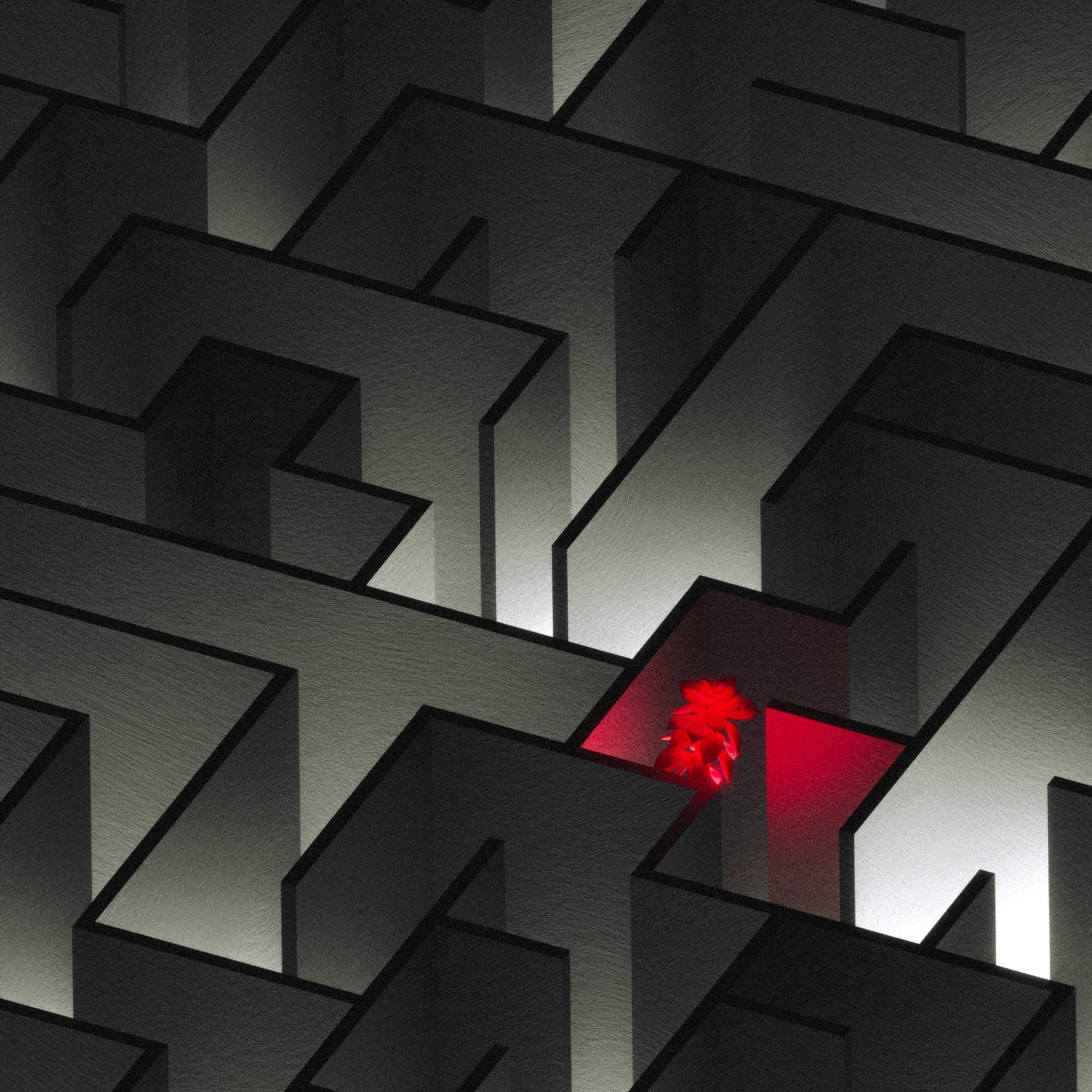 Red flowers in dark maze. Branding studio Barcelona for visual identity.