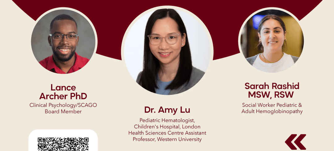 La transition de la maladie des cellules falciformes à travers le cycle de vie