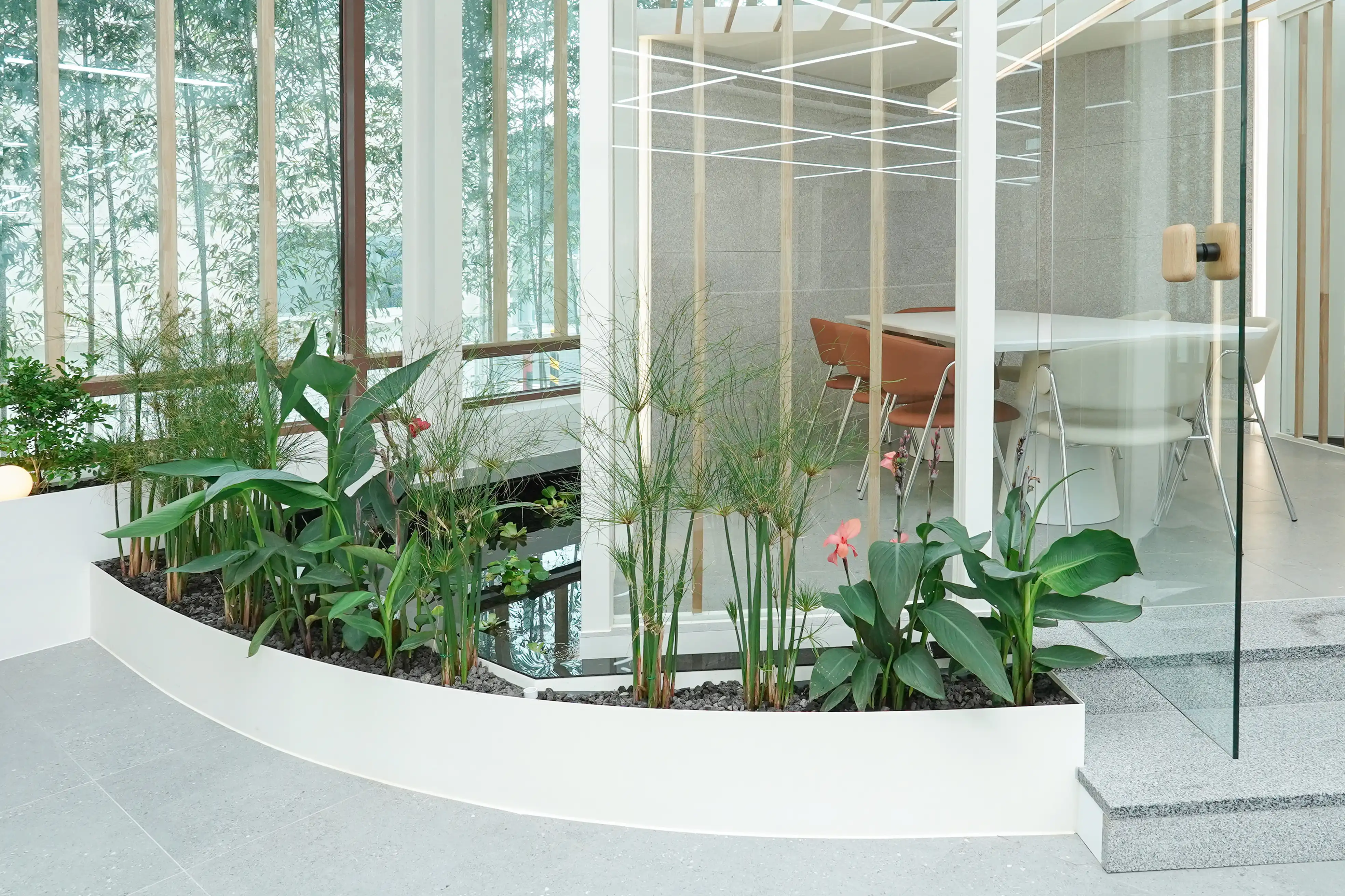 희소성 있는 수생식물 실내조경