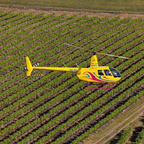 גפנים שופעות