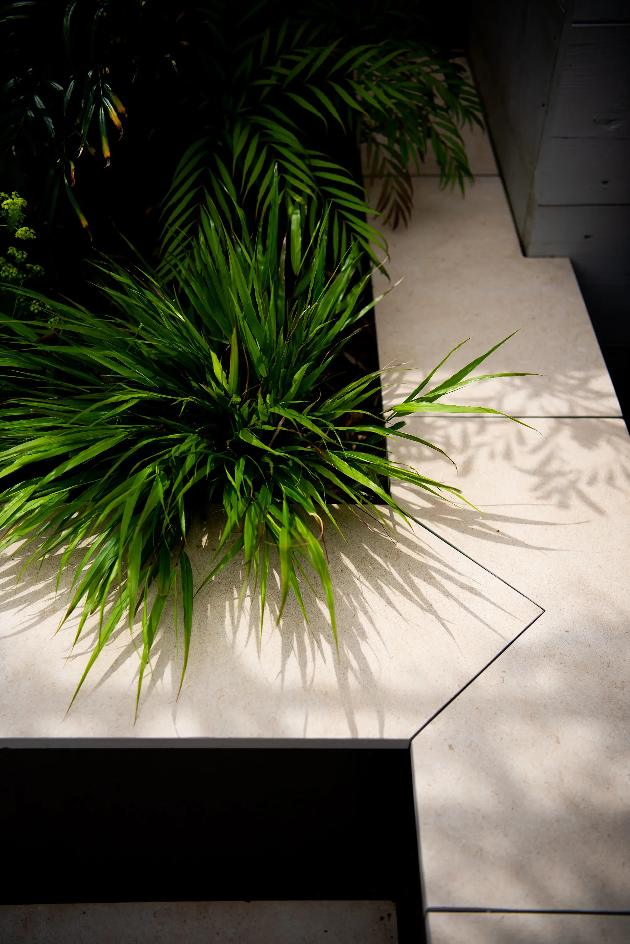A close-up view of green plants resting on a light-colored surface, creating a natural and serene atmosphere.