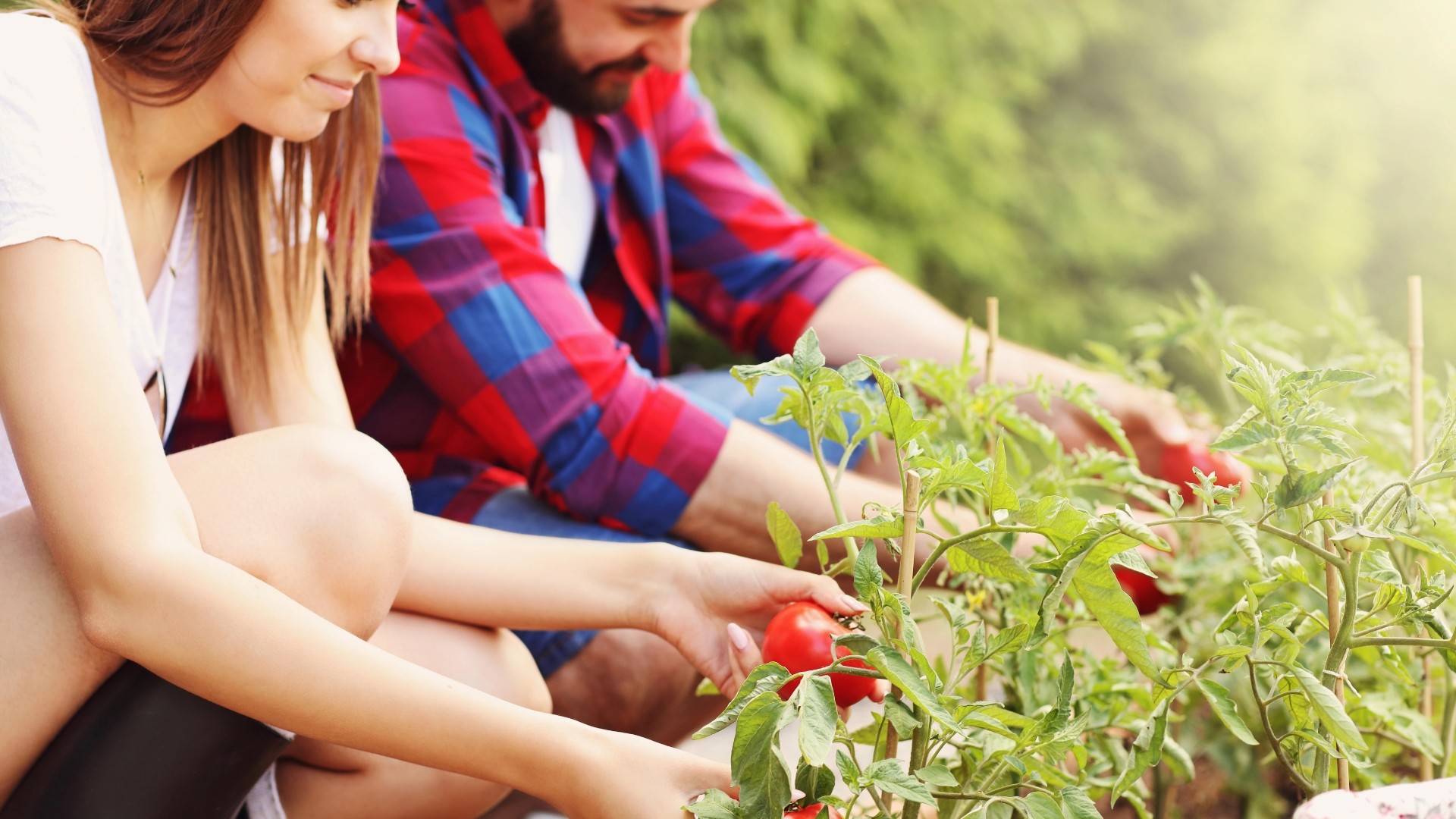 Backyard Designer Farms