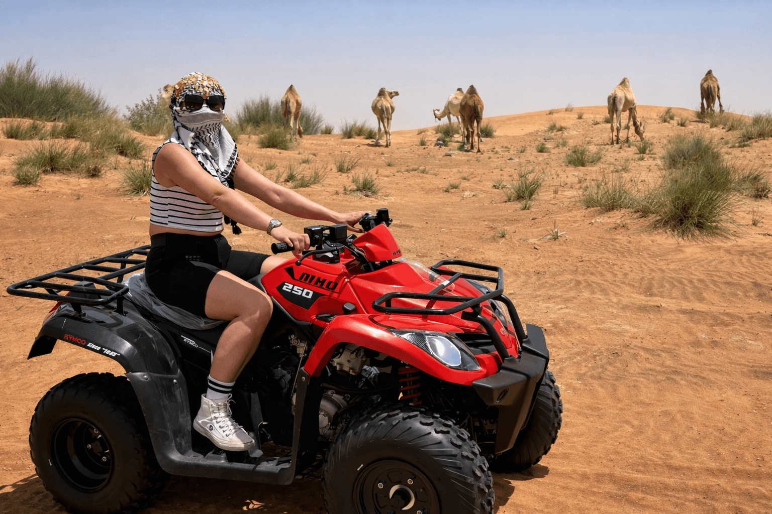 Guest riding a Kymco 250cc quad bike through Dubai desert dunes with camels during a quad biking tour with Dune Quest Tours