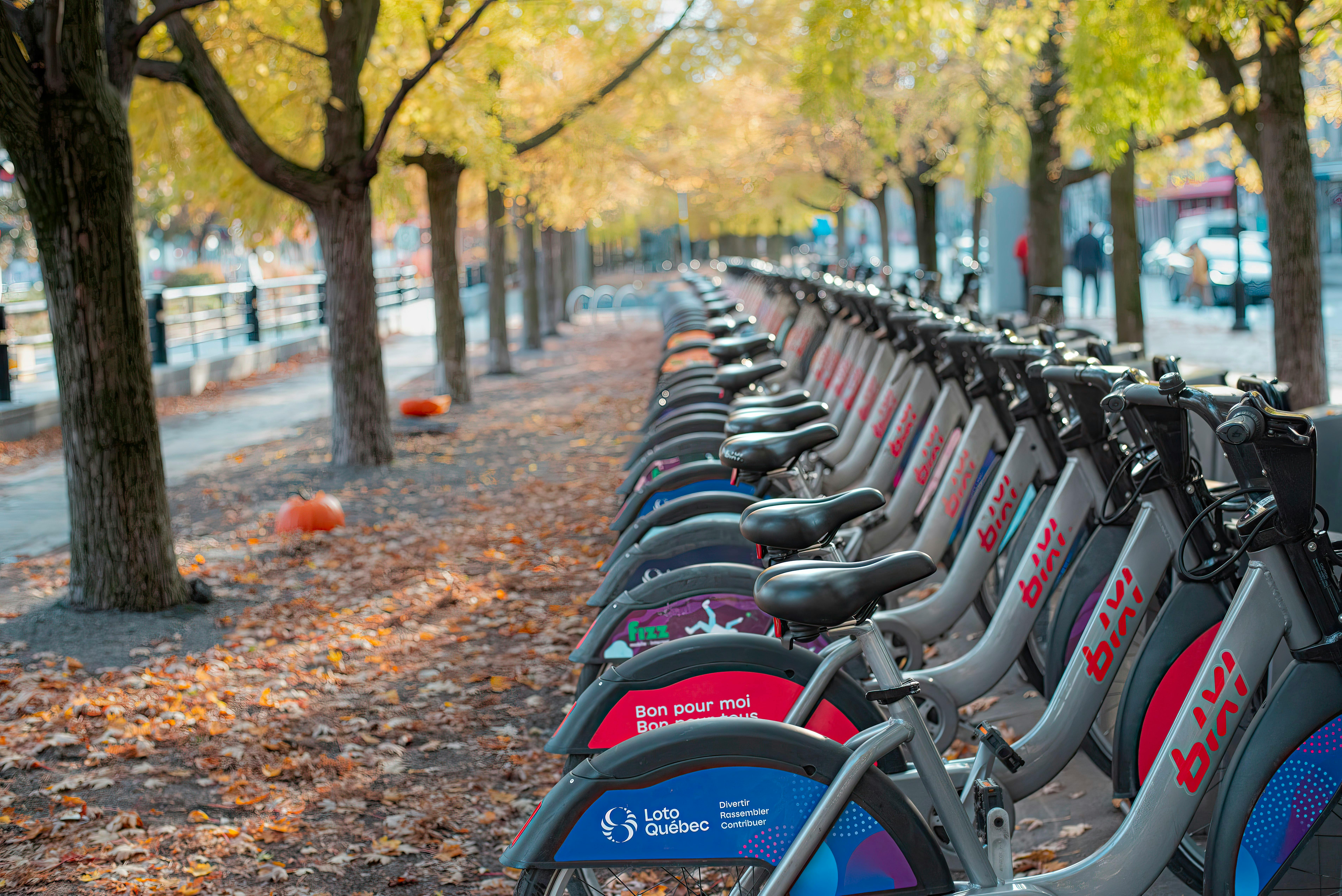 Stations bixi dans un parc au bord de l'eau au Vieux-Lachine.