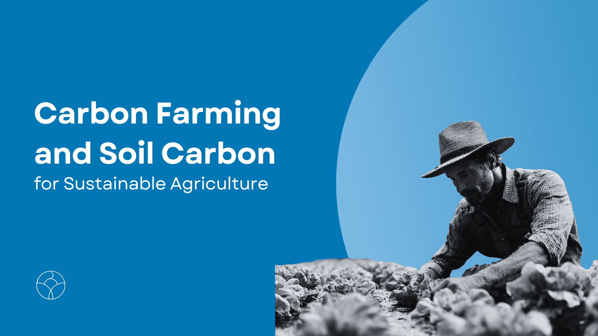 A visual of a blog cover titled "Carbon Farming and Soil Carbon for Sustainable Agriculture" featuring a farmer inspecting crops in the field.