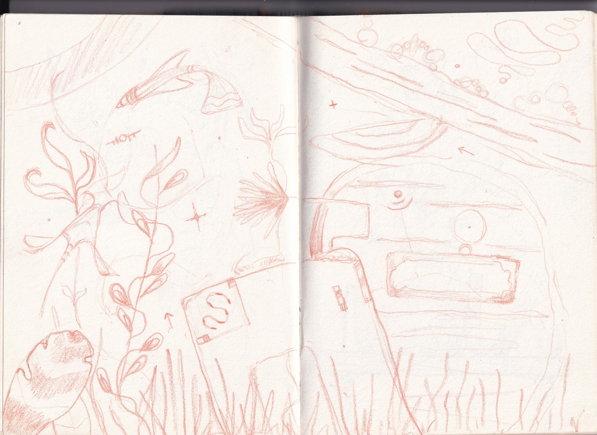 Image 25