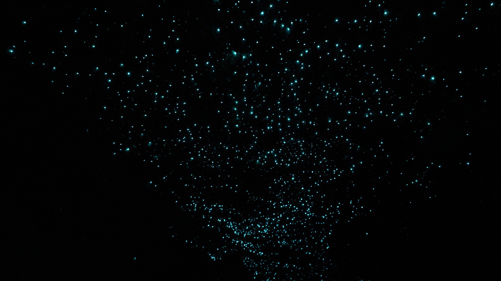 two person playing tennis