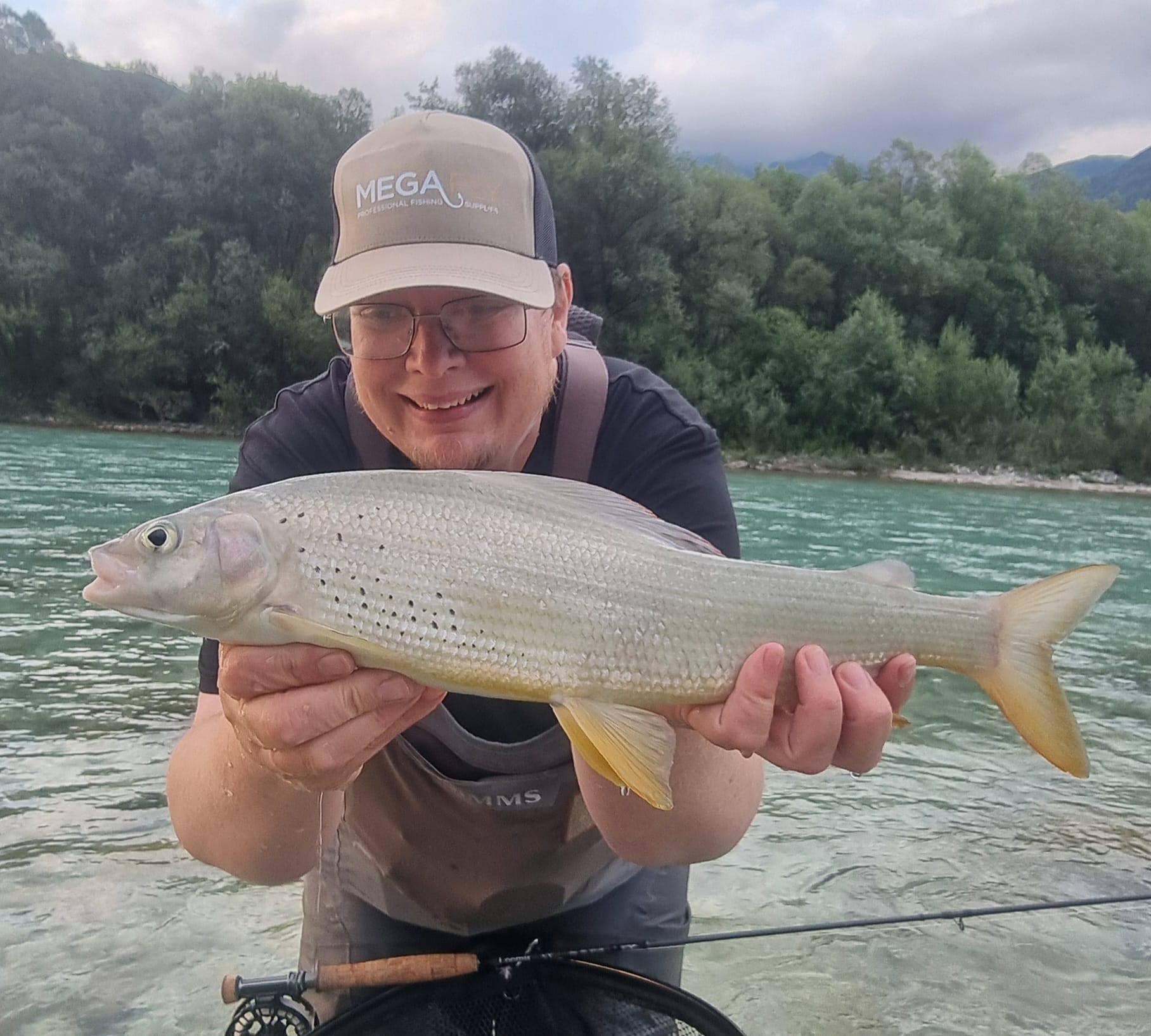 Wild Adriatic grayling caught on dry fly in clear Slovenian alpine river