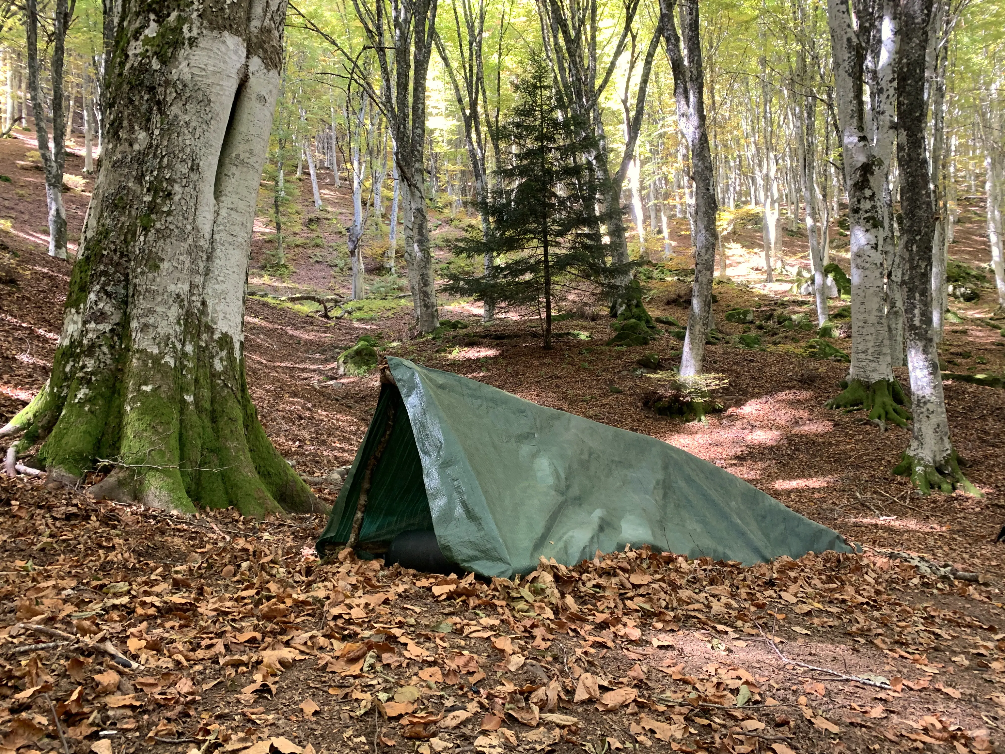 Andrea Modesti, istruttore di survival e bushcraft, esperto in campi avventura per ragazzi e corsi di sopravvivenza outdoor