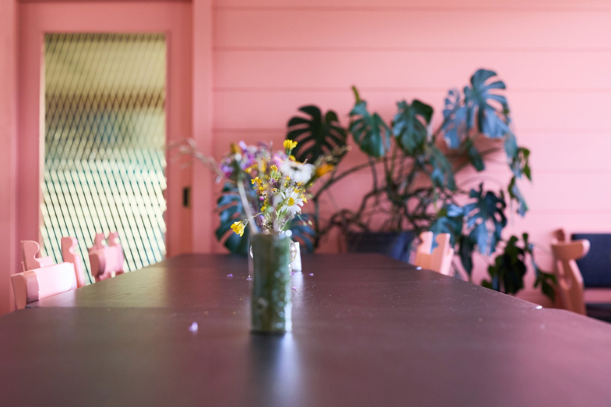 lachsrosa café mit pflanze monstera im hintergrund