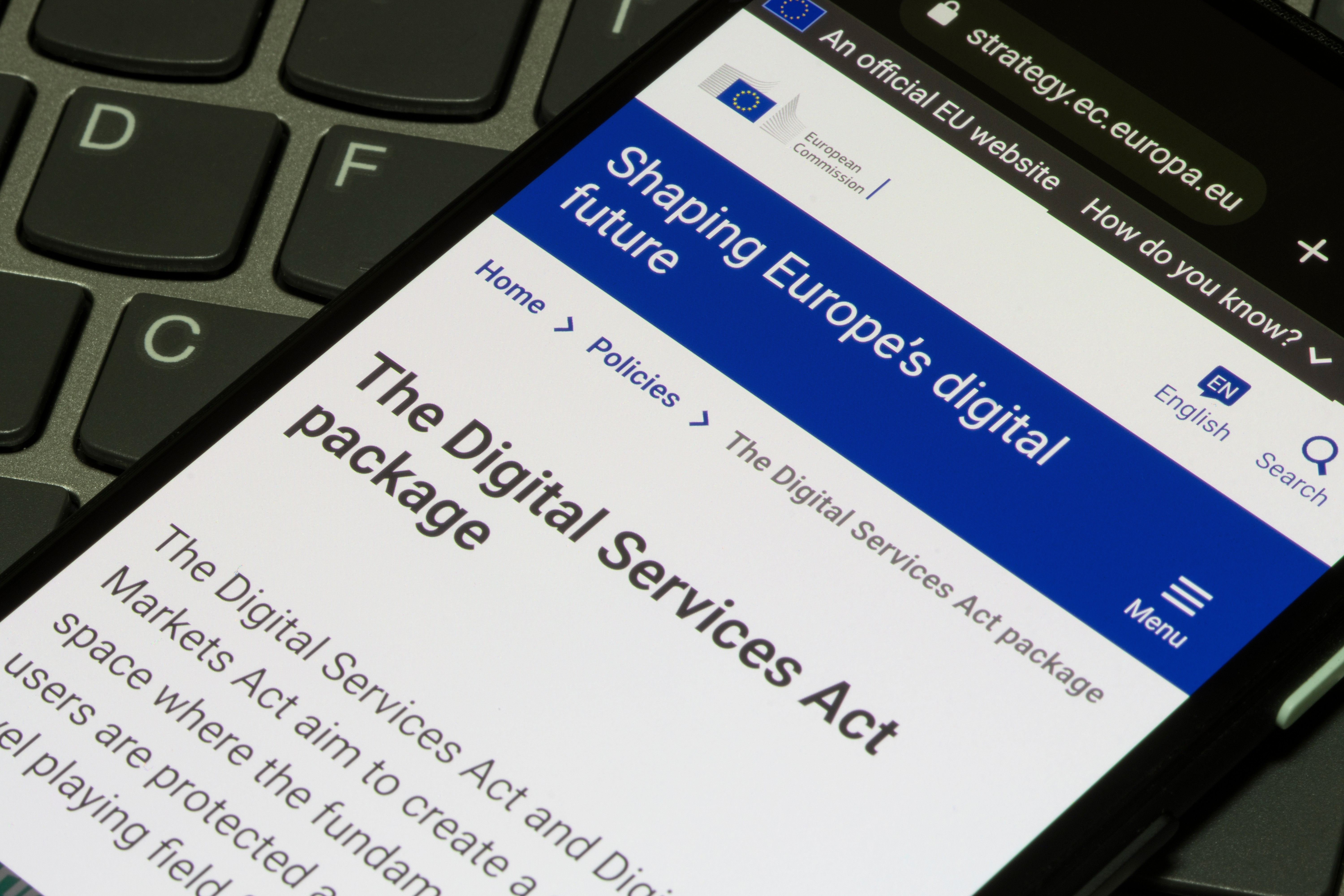 Webpage of the Digital Services act (DSA) is seen on the official website of the European Union (EU) on a smartphone.