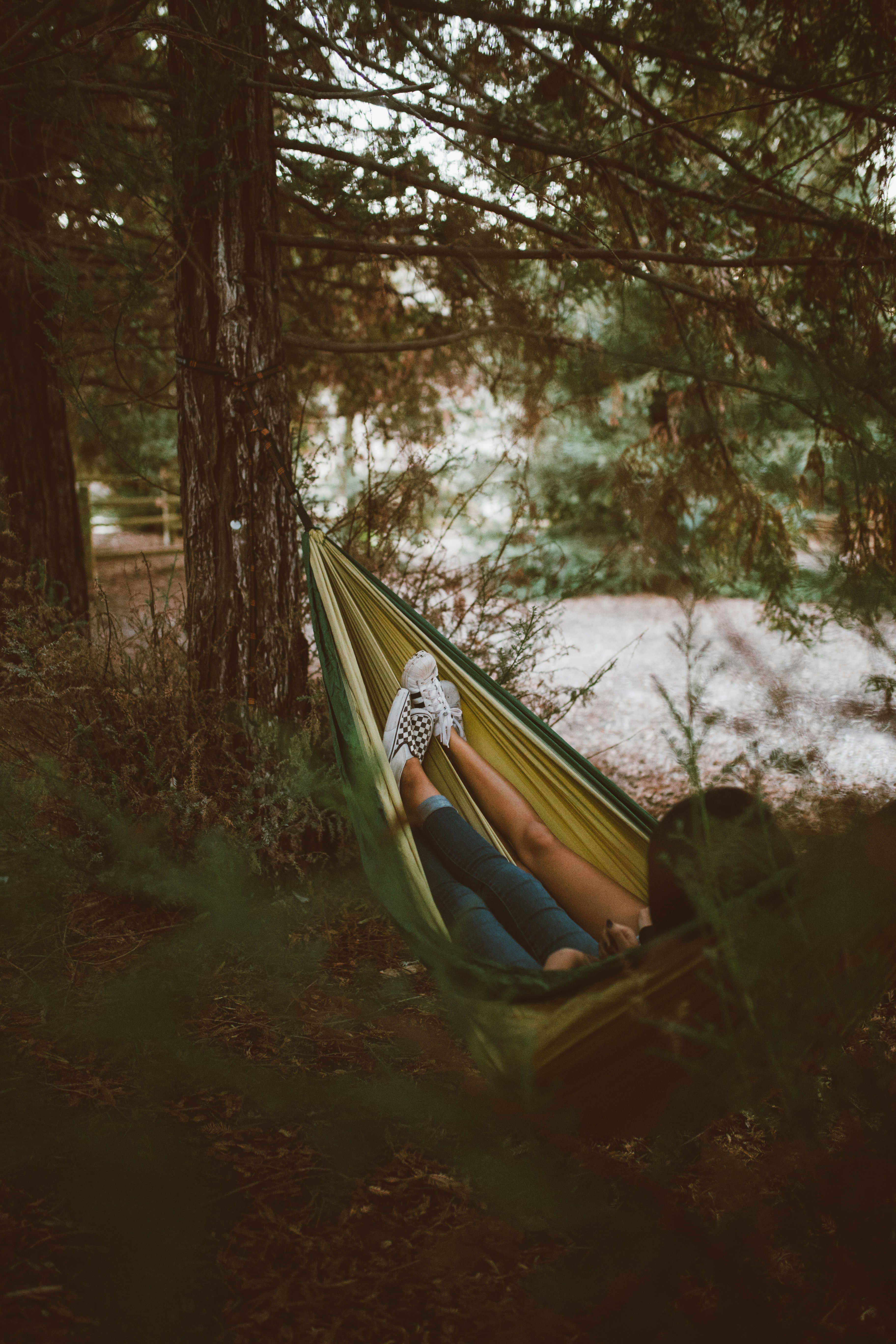 Hammock