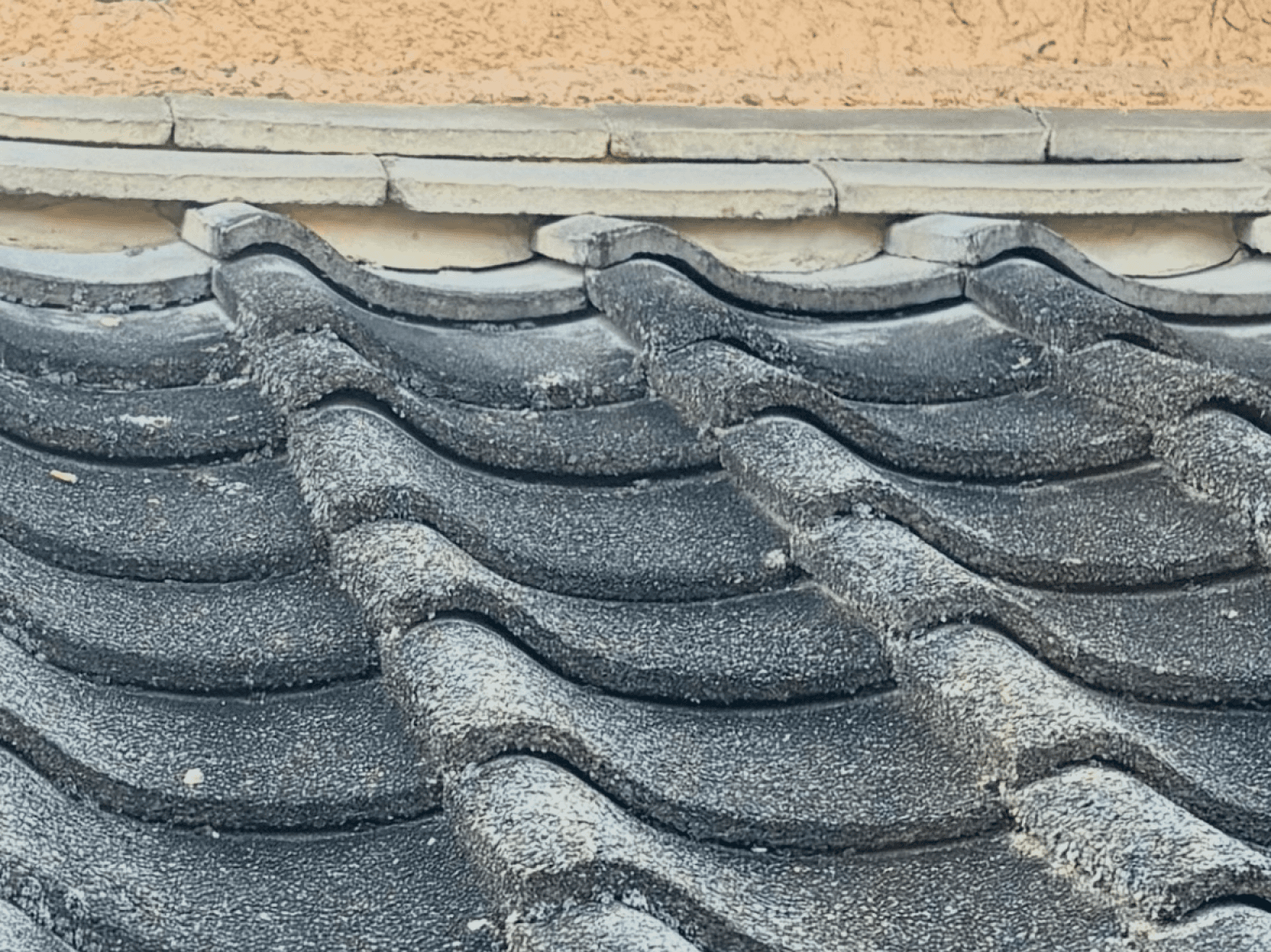 瓦がかなり劣化している