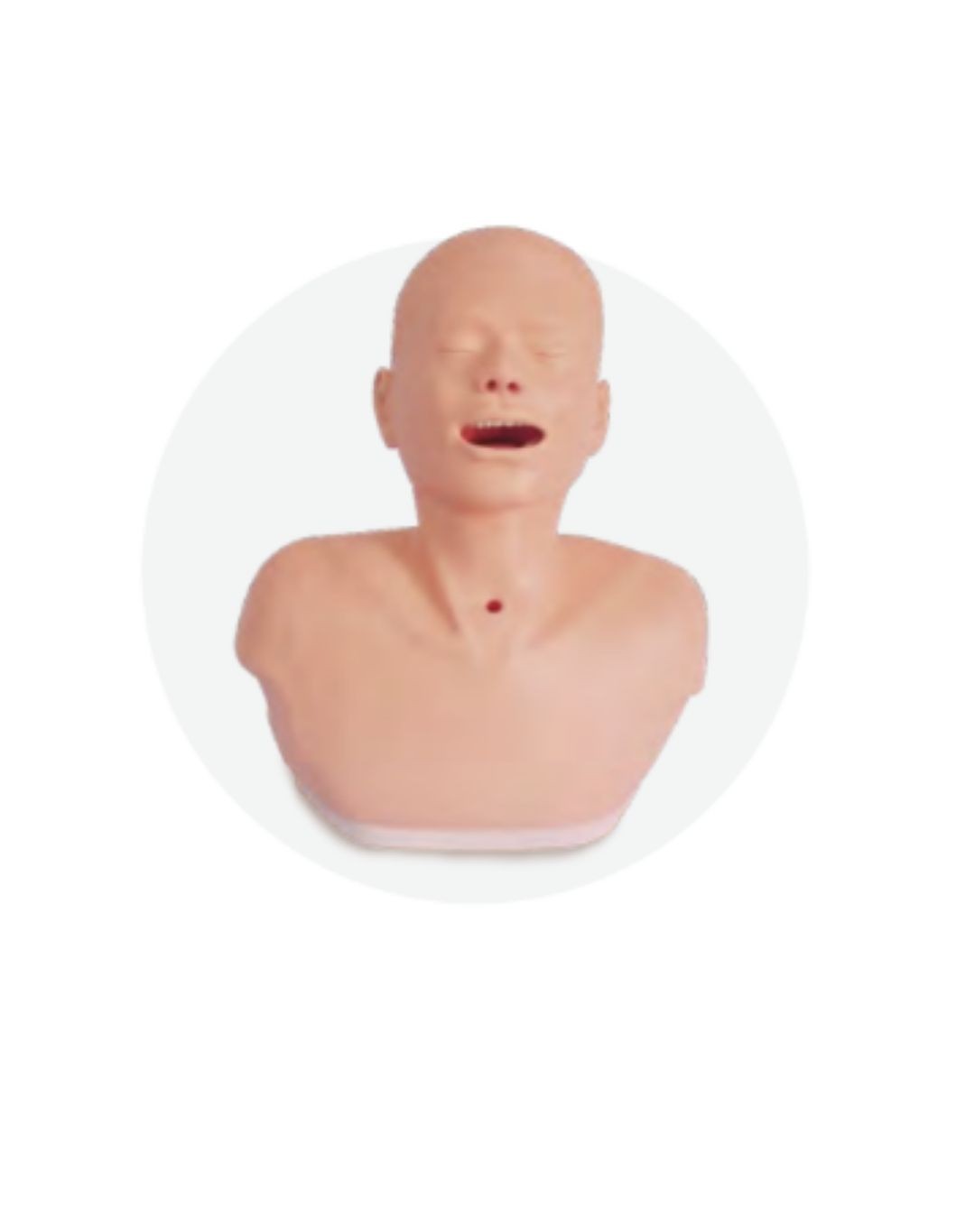 Tracheotomy Nursing Model