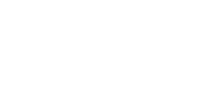 Logo Design Project for a Client
