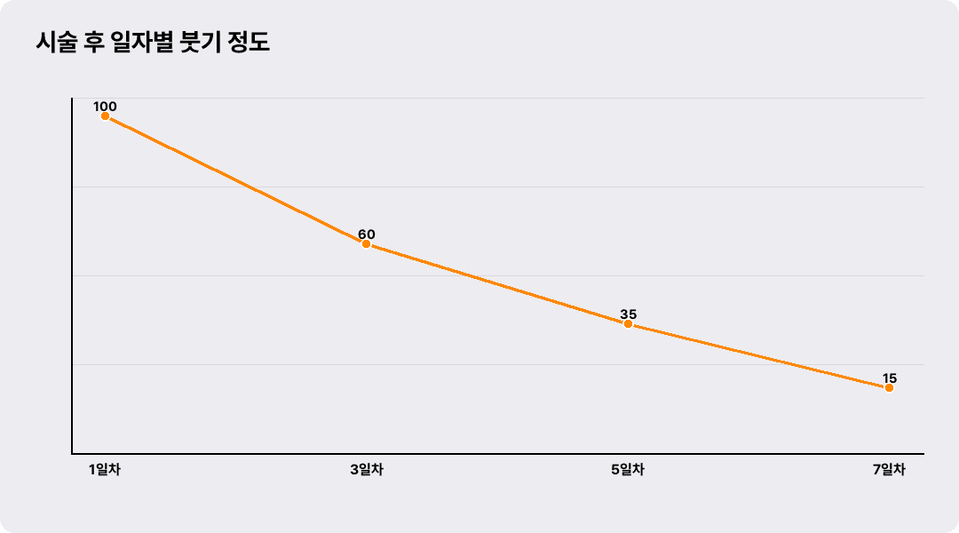 시술 후 일자별 붓기 정도