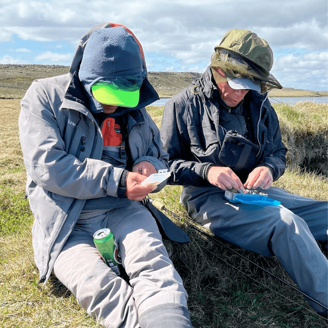 Island, Brown Trout, Arctic char, fjeldørred