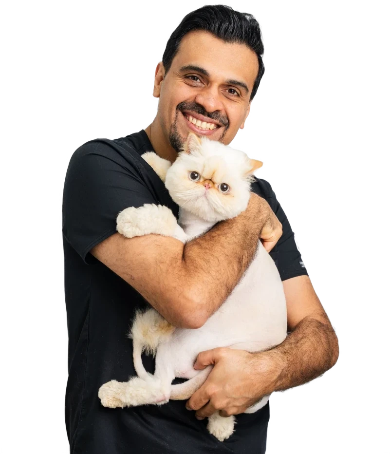 Dr. Soheyl Simaei
