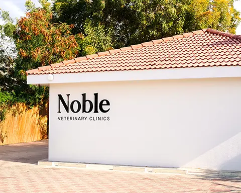 Jumeirah branch