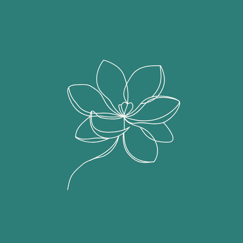 sketch of magnolia flower on teal background
