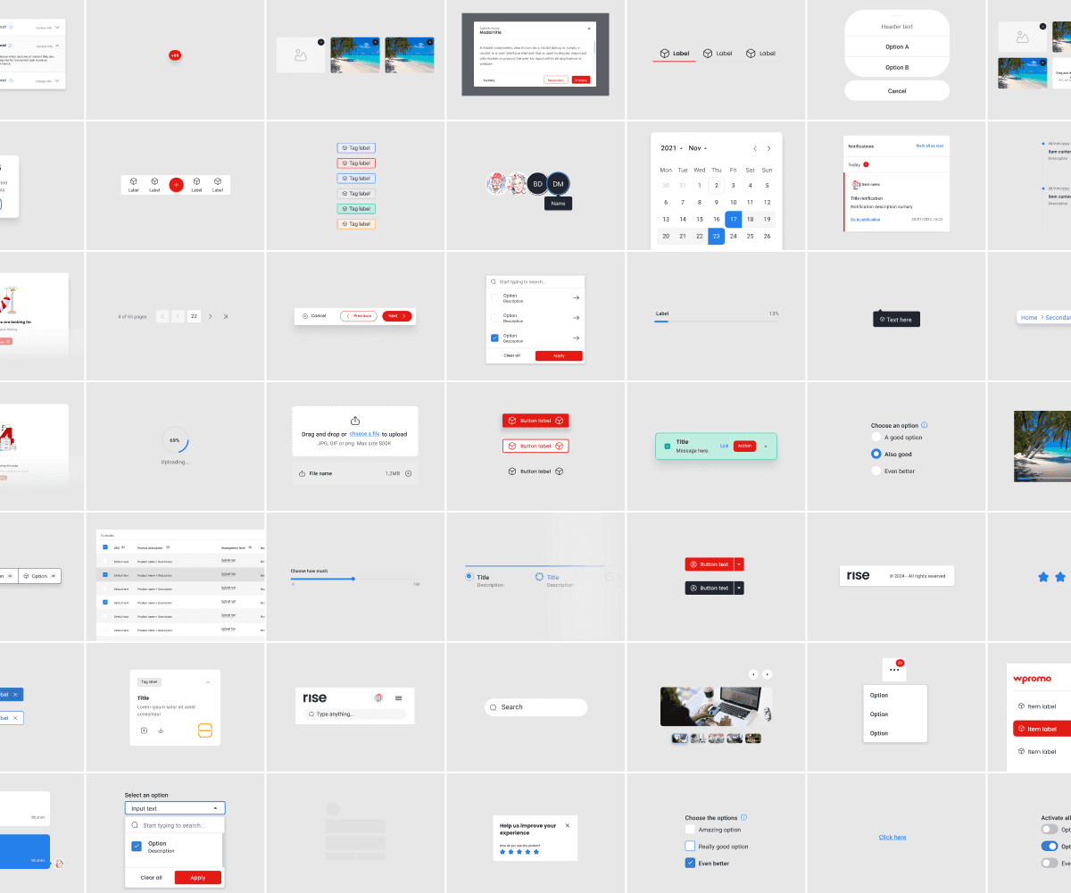 Preview of the RISE design system — component library thumbnails.