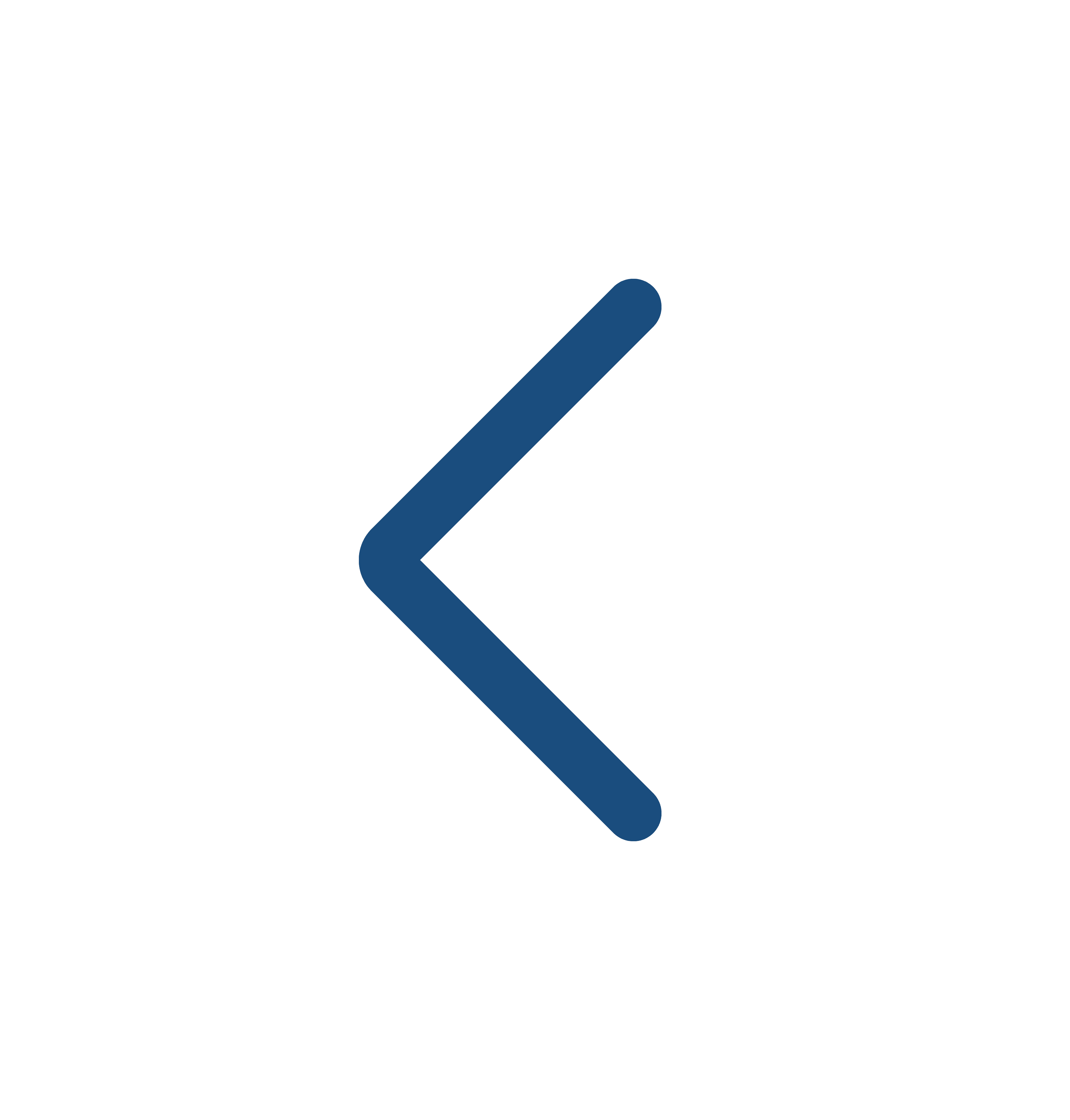 Back Arrow